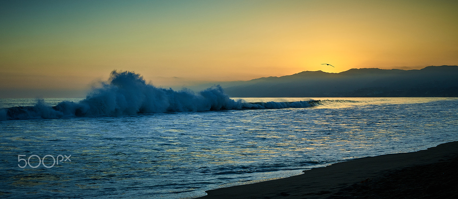 Phase One IQ3 100MP + Schneider LS 35mm f/3.5 sample photo. June sunset in santa monica photography