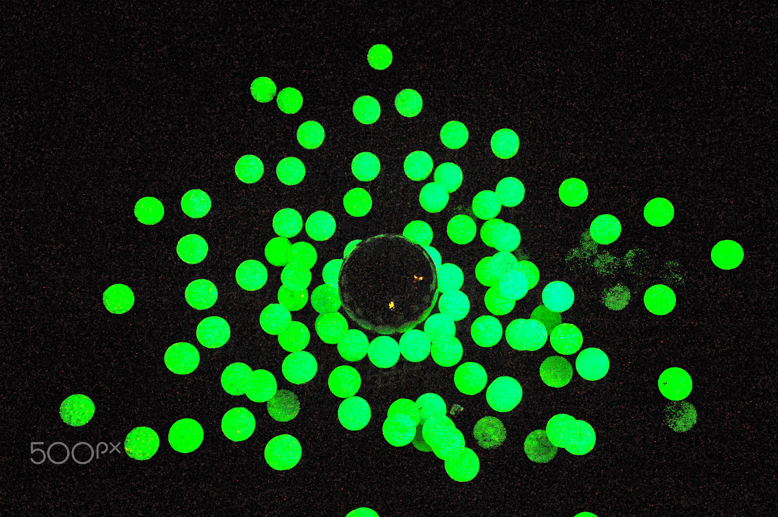 Nikon D40 sample photo. Glow fun photography
