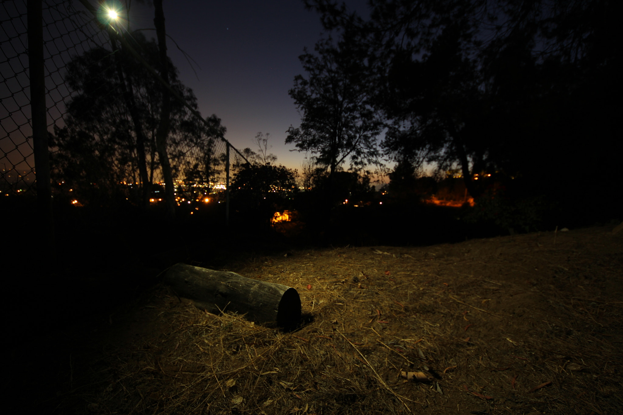 Sigma 8-16mm F4.5-5.6 DC HSM sample photo. Backyard treasures photography