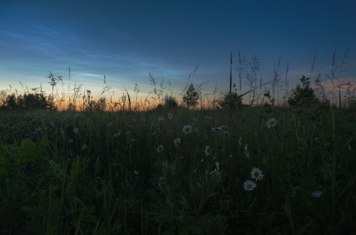 Nikon D3X sample photo. Palette night artist photography