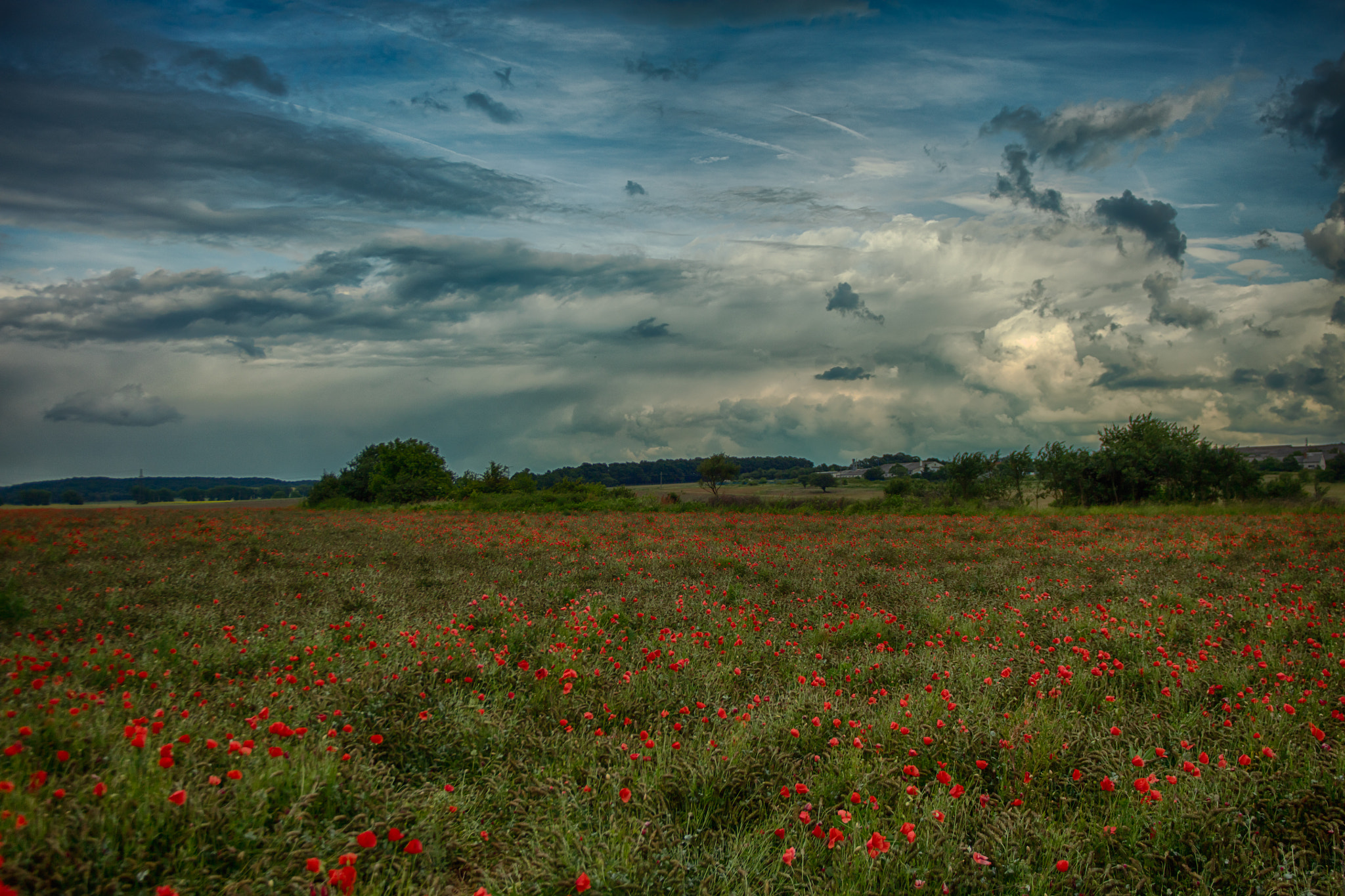Tamron AF 19-35mm f/3.5-4.5 sample photo. Exhib photography