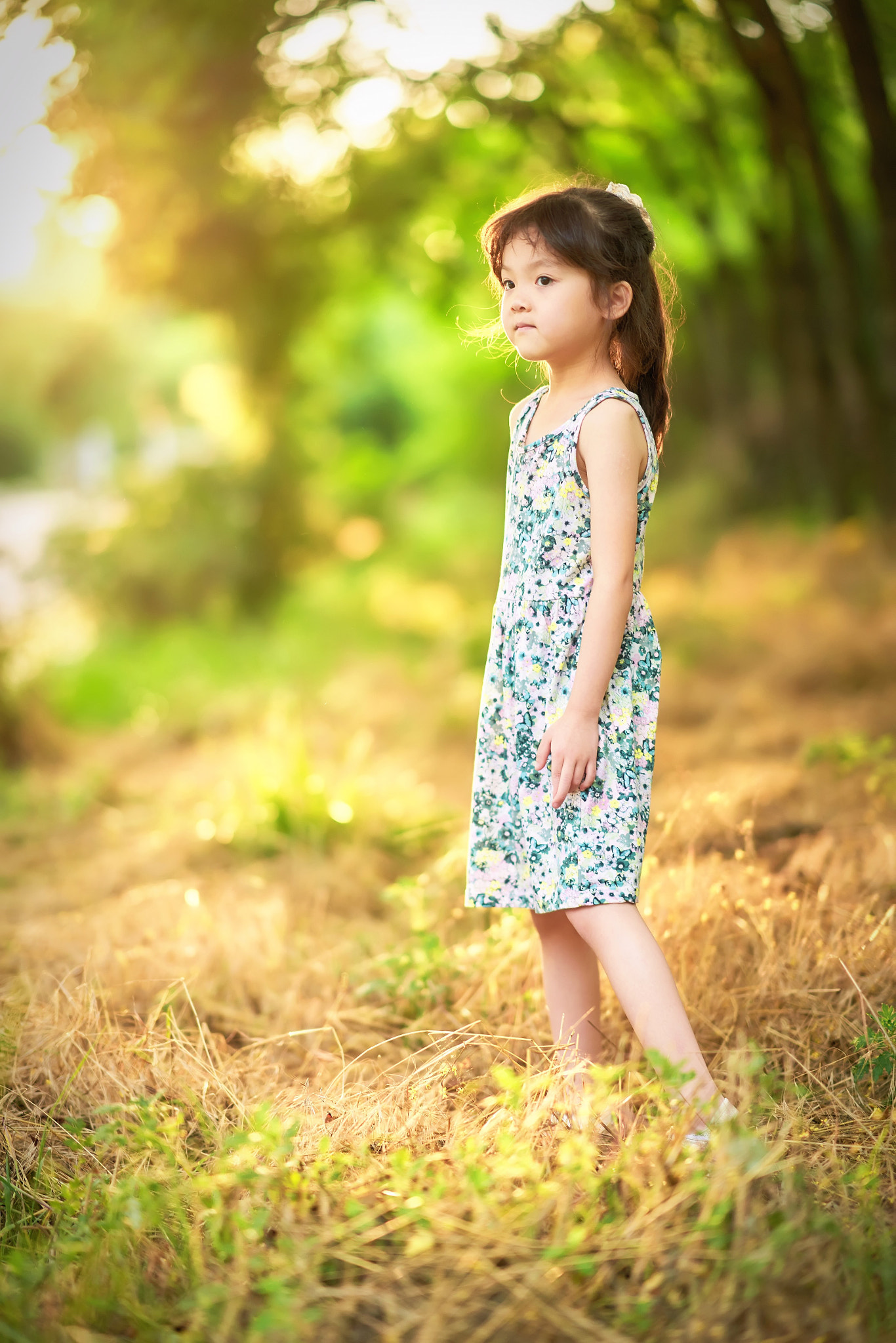 Sony a7 + Sony FE 85mm F1.4 GM sample photo. Sunset light , girl  photography