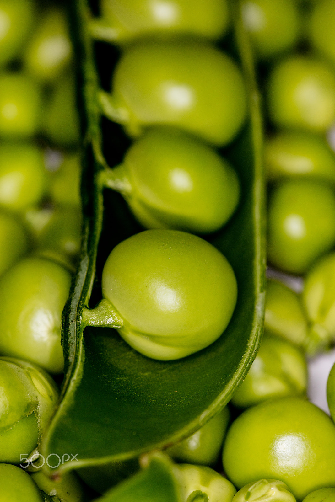 Sigma 150mm f/2.8 EX DG OS HSM APO Macro sample photo. Fresh green peas photography