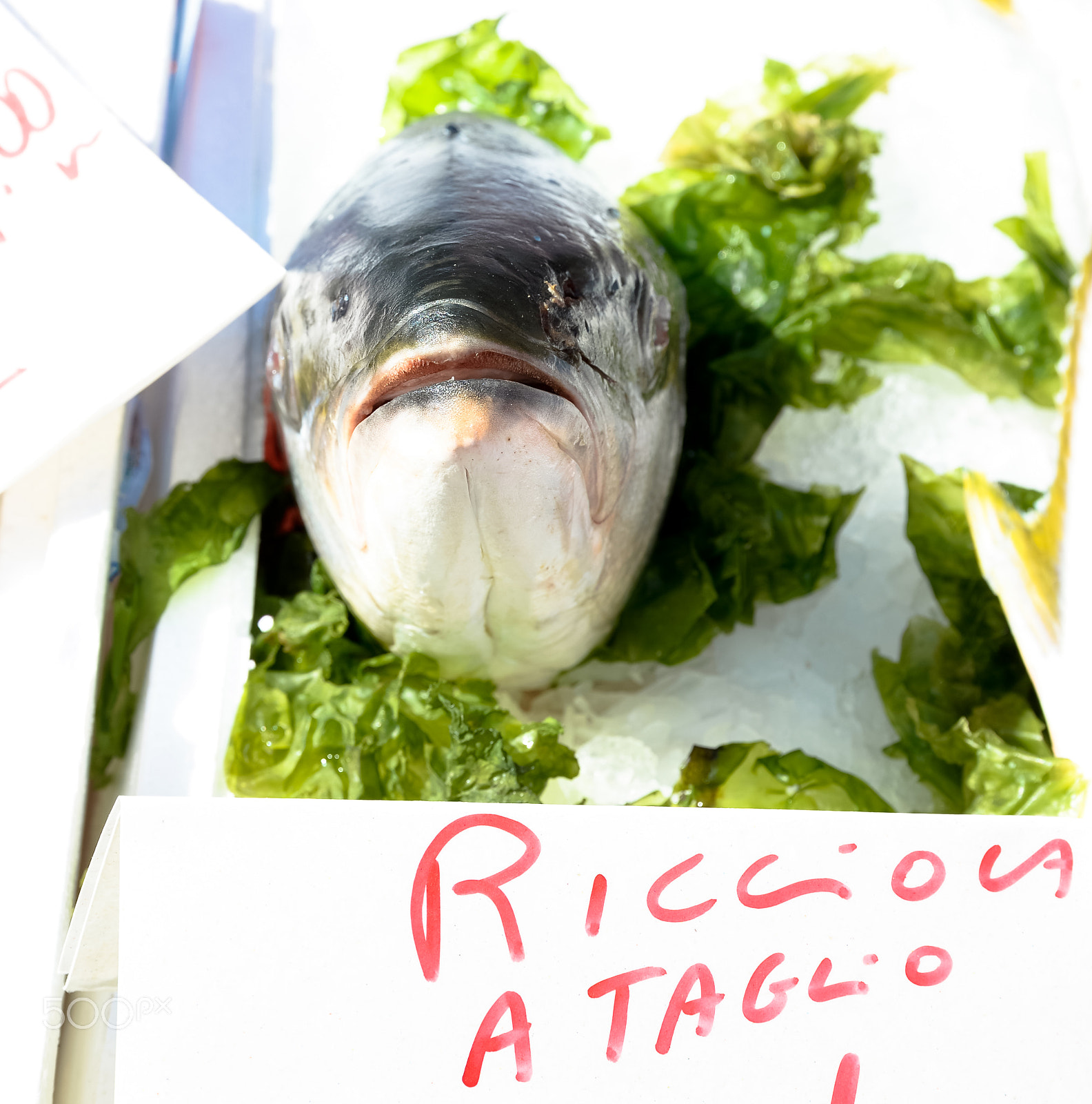 Nikon Df + Sigma 24-105mm F4 DG OS HSM Art sample photo. Ricciola in market photography