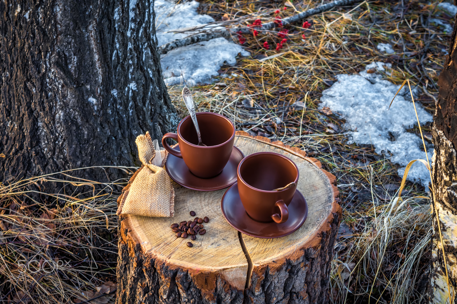 Nikon AF Nikkor 35mm F2D sample photo. Two cups of coffee on stump photography