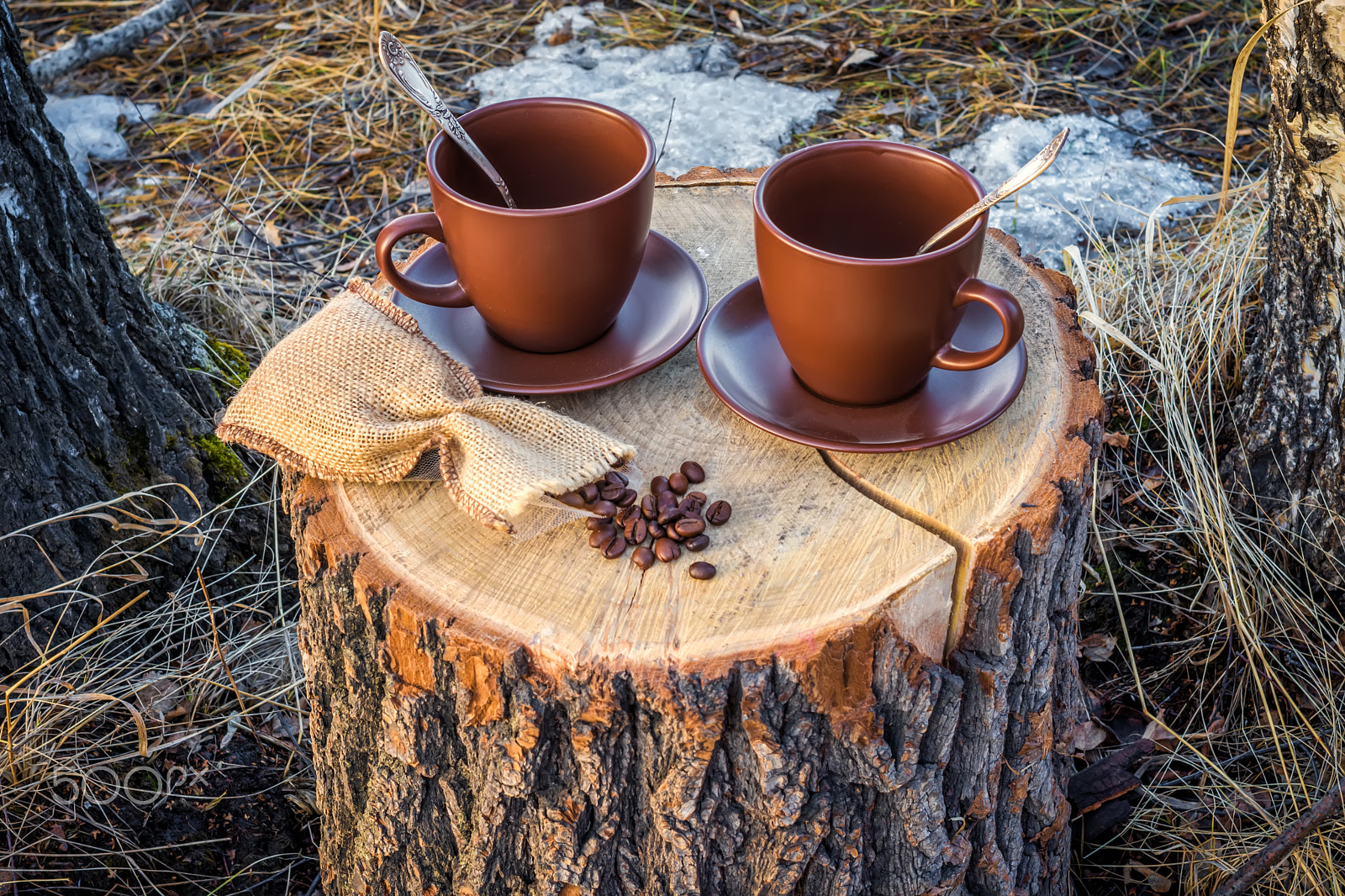 Nikon D7200 + Nikon AF Nikkor 35mm F2D sample photo. Two cups of coffee on stump photography