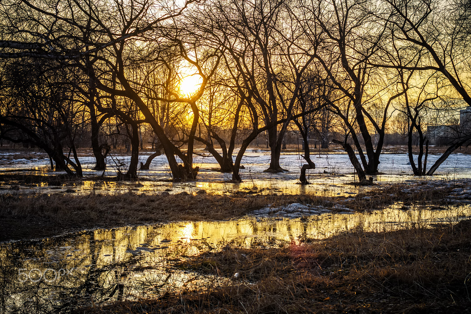 Nikon D7200 + Nikon AF Nikkor 35mm F2D sample photo. Silhouettes of trees and melted snow photography