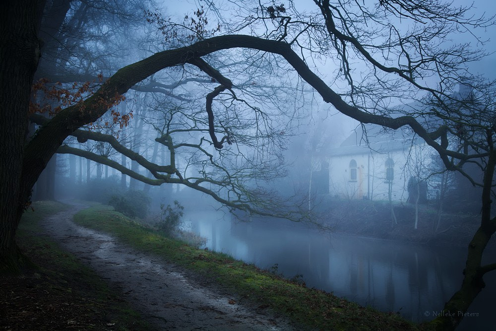 Lakeside House by Nelleke Pieters on 500px.com