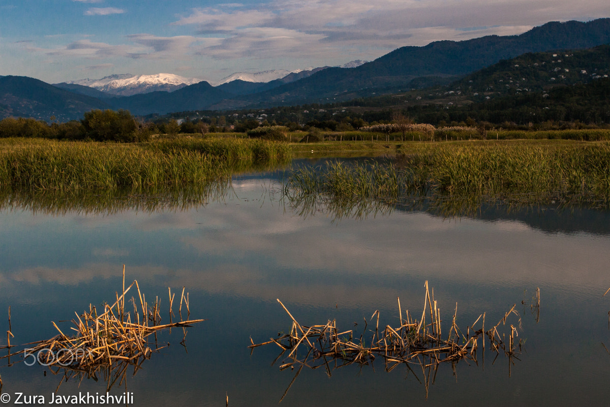 Canon EOS 30D + Canon EF 17-40mm F4L USM sample photo. Chorokhi river delta wetlands photography