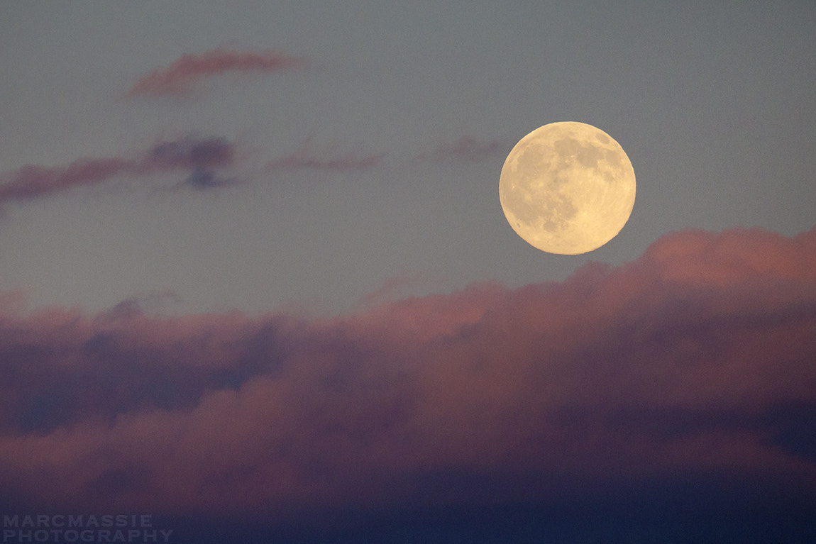 150-600mm F5-6.3 DG OS HSM | Sports 014 sample photo. Full moon rising over the sun kissed clouds in the alberta prairies photography