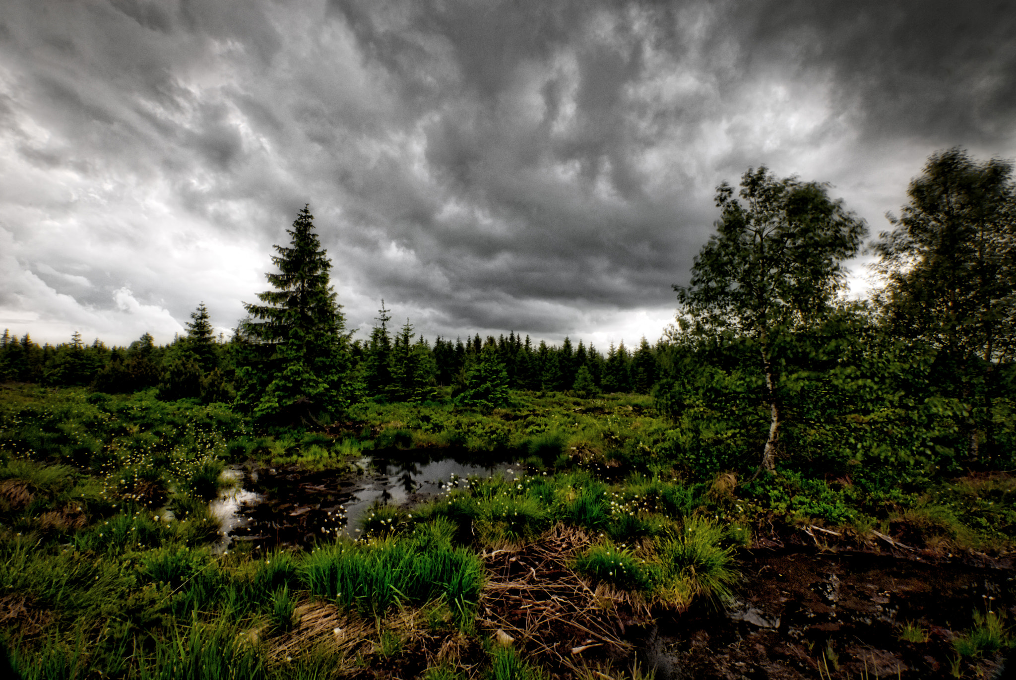 Nikon D200 + Sigma 10-20mm F3.5 EX DC HSM sample photo. Moor photography