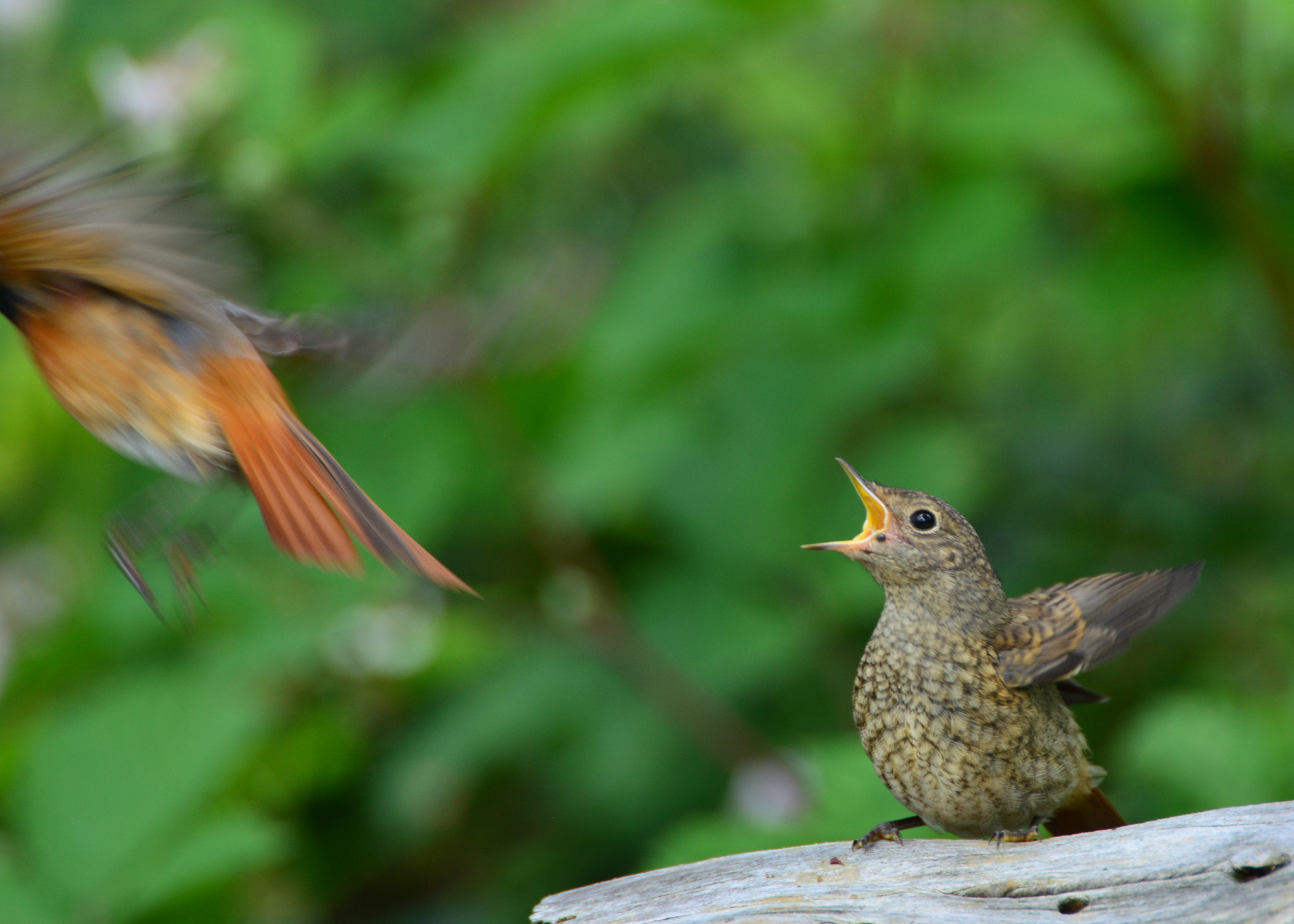 Nikon D600 sample photo. Don't go!!!! photography