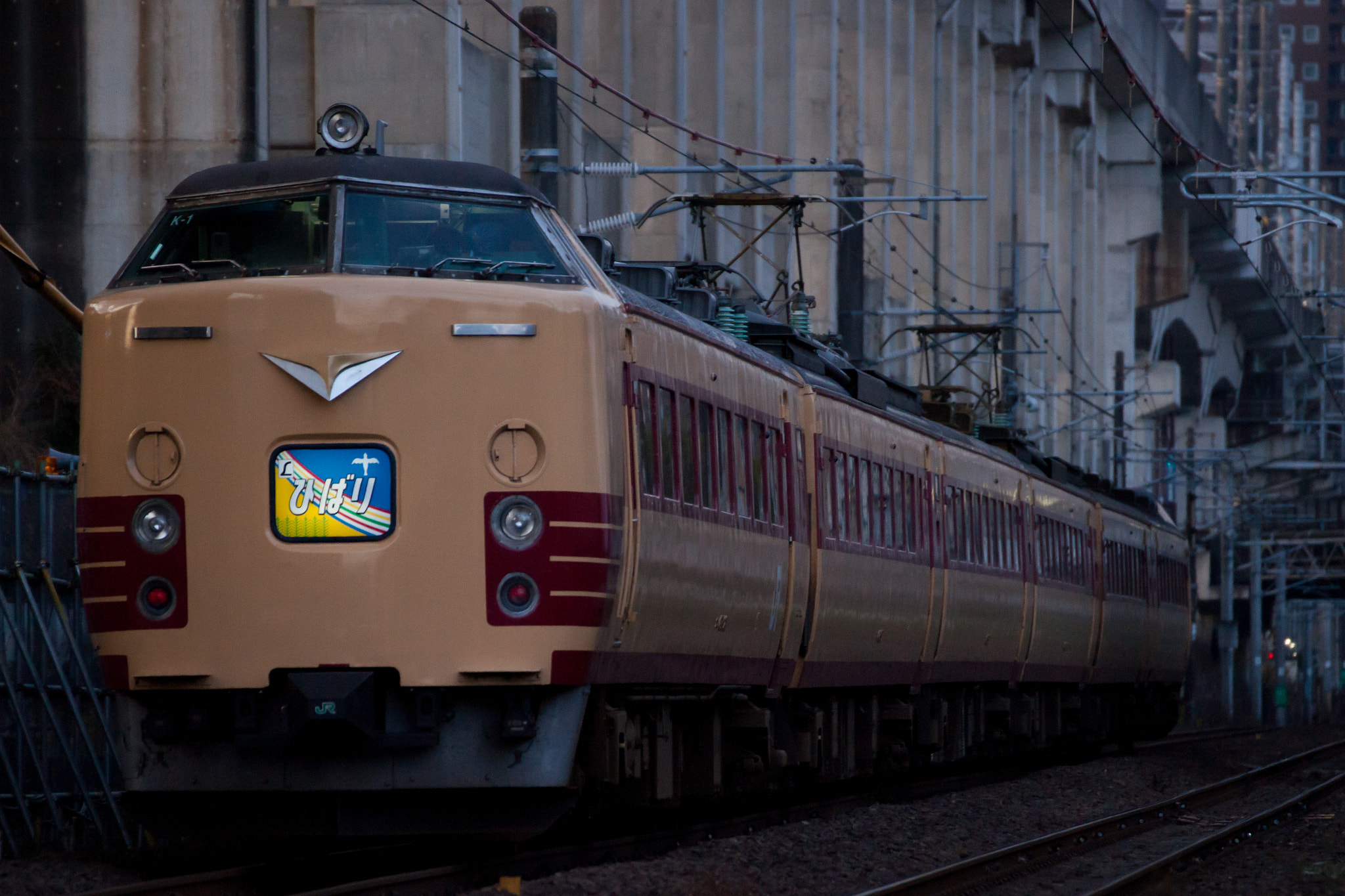 Sony 70-300mm F4.5-5.6 G SSM sample photo. Limited express "hibari" photography