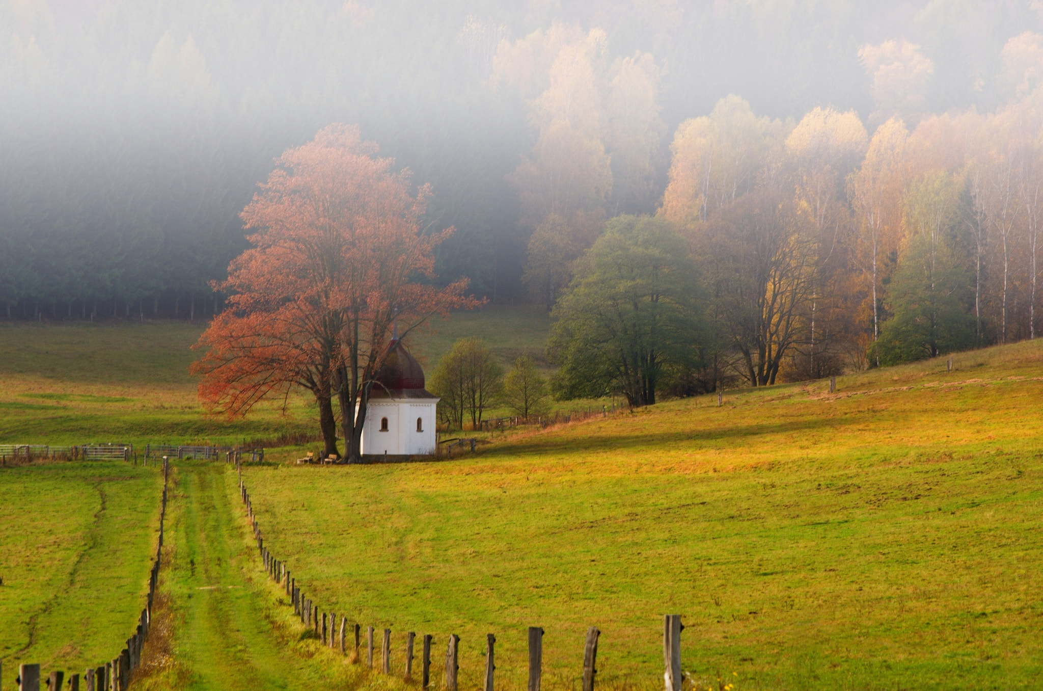 55.00 - 200.00 mm f/4.0 - 5.6 sample photo. The chapel photography