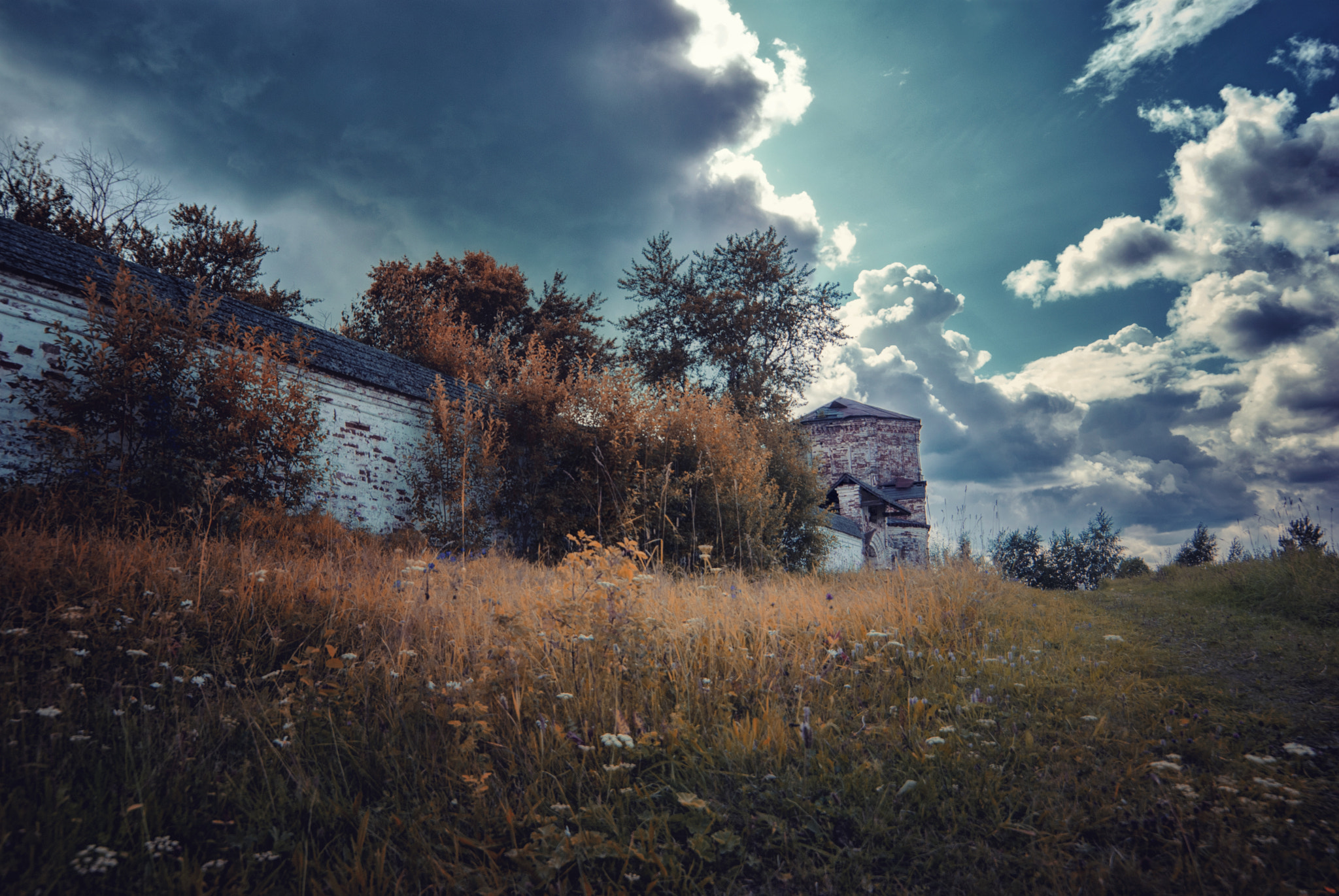 Samyang 14mm F2.8 ED AS IF UMC sample photo. Russian meadow photography