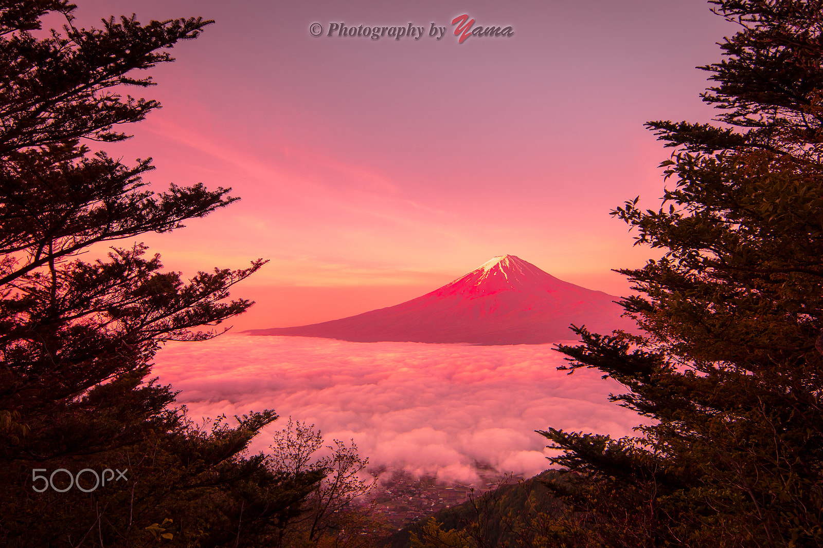 Canon EF 14mm F2.8L II USM sample photo. Red fuji photography