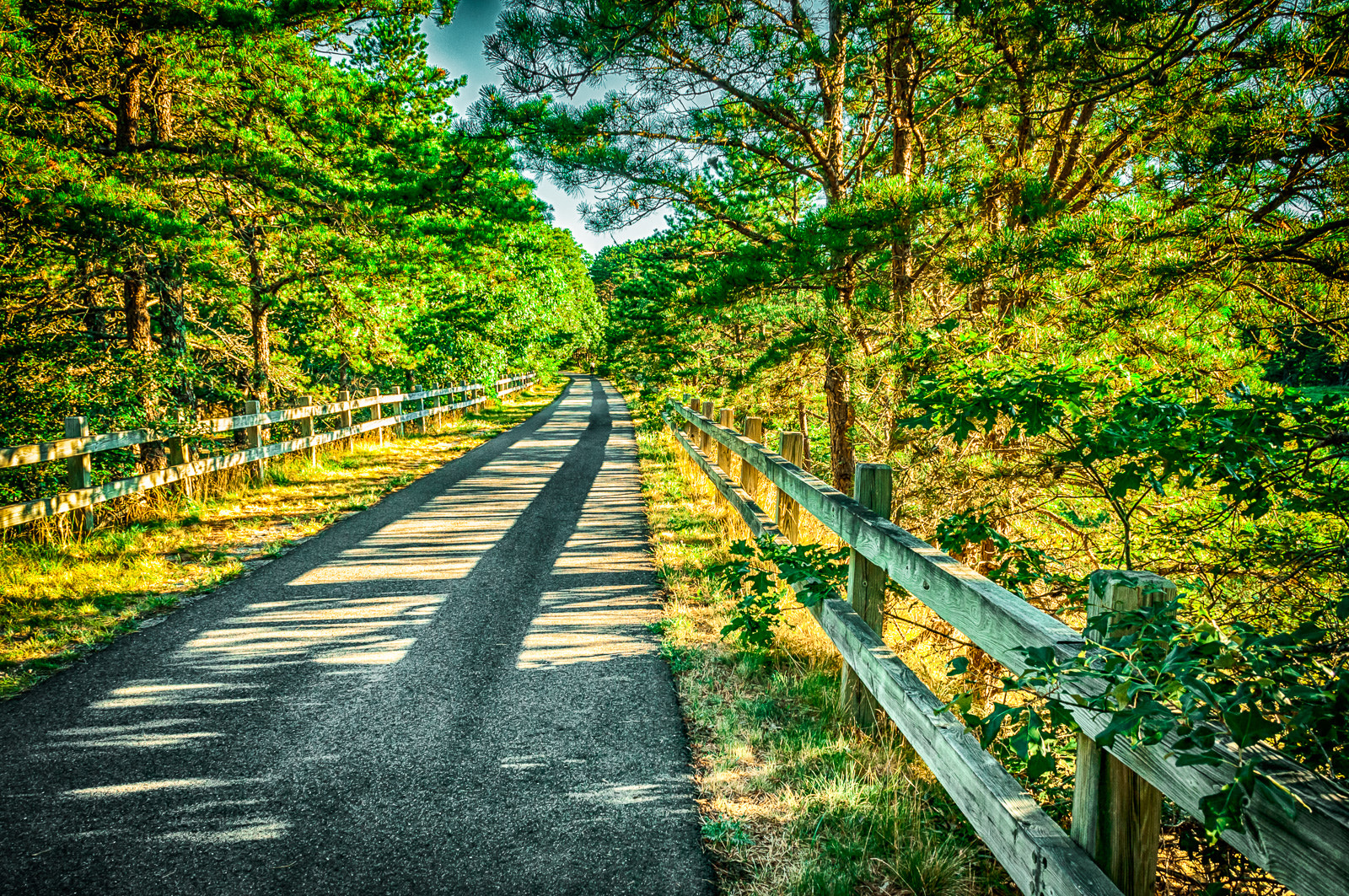 Nikon D300S sample photo. Cape cod rail trail photography