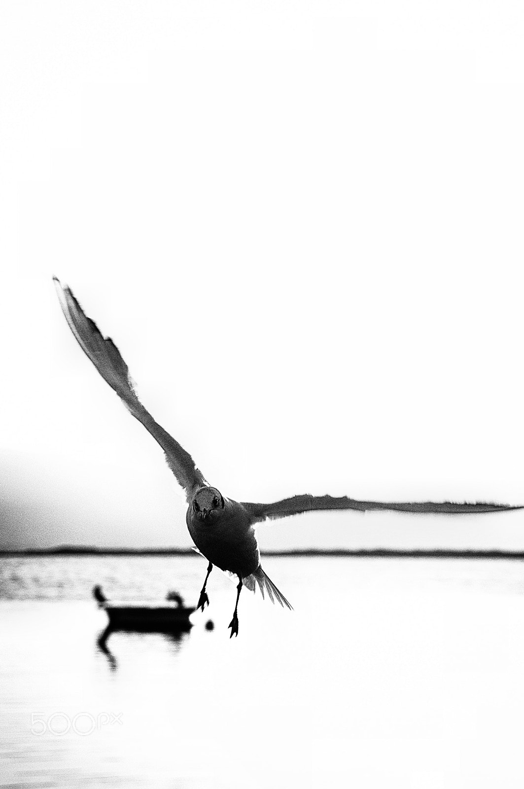 Sony Alpha DSLR-A580 + Minolta AF 35-105mm F3.5-4.5 sample photo. Giderim photography