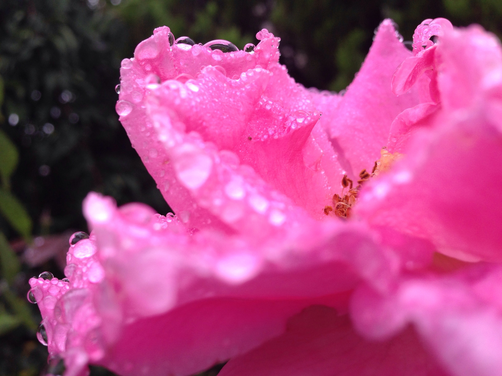Blux Touch Blux Pro V1.1.1 sample photo. Crystal beauty photography