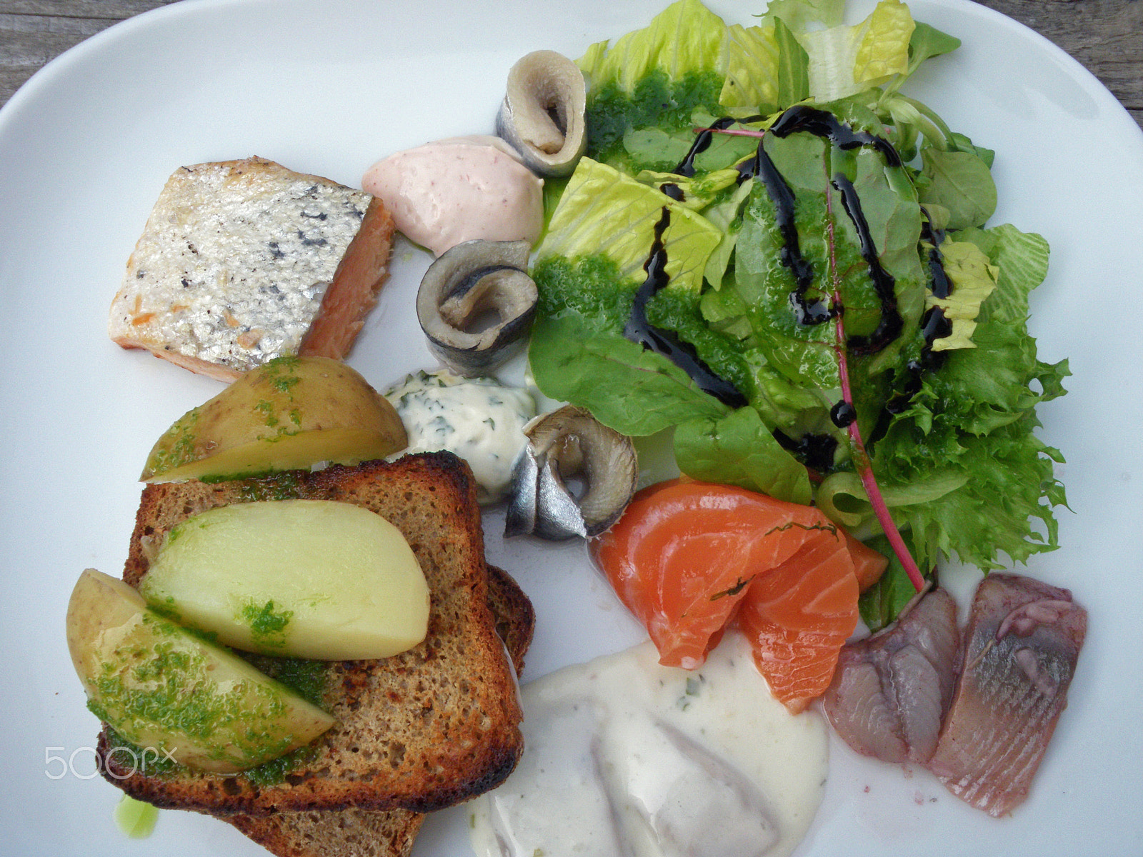 Pentax Optio M60 sample photo. Fish plate photography