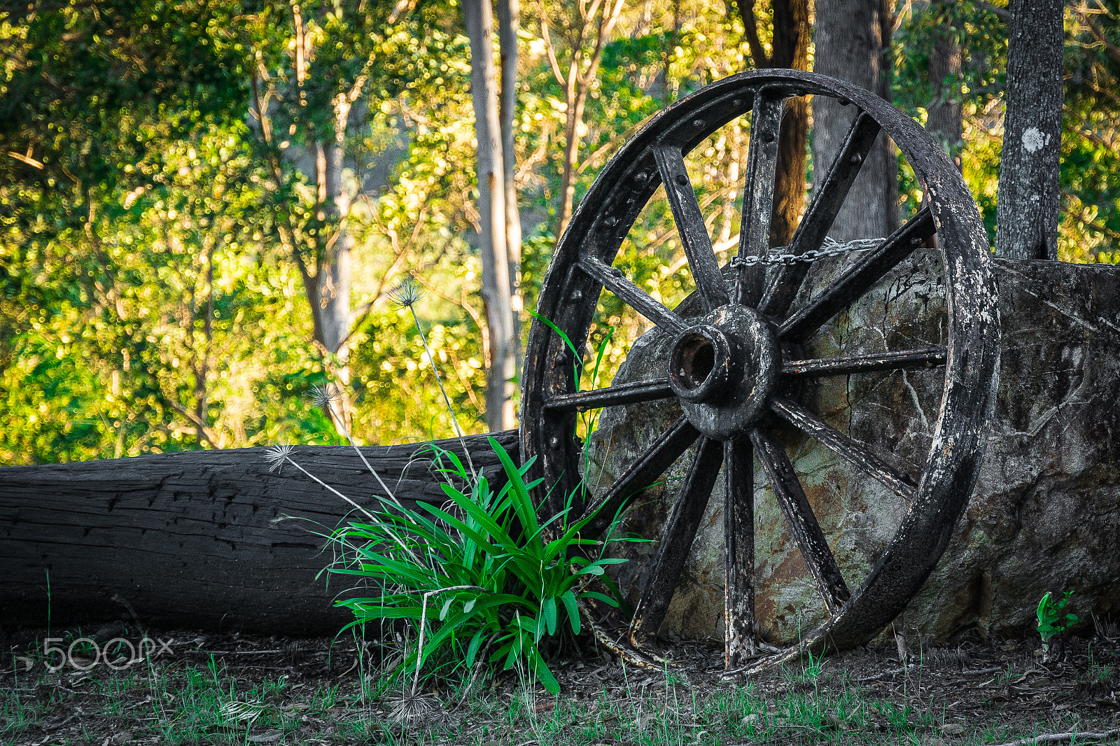 Nikon 1 Nikkor VR 30-110mm F3.8-5.6 sample photo. Old wheel photography