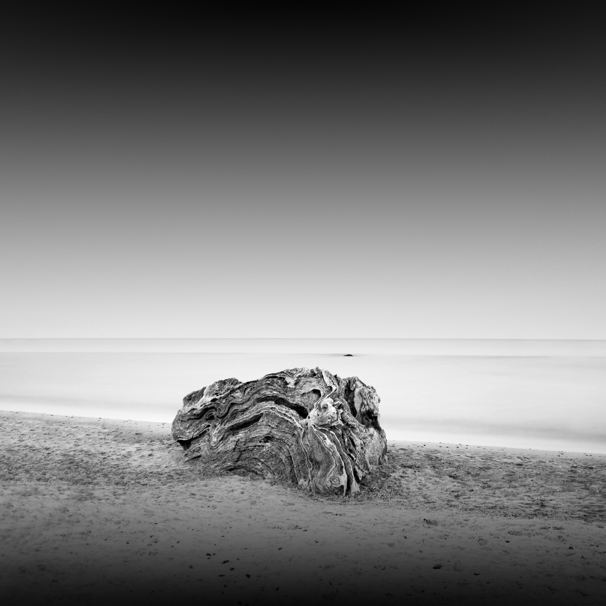 Nikon D80 sample photo. ... photography