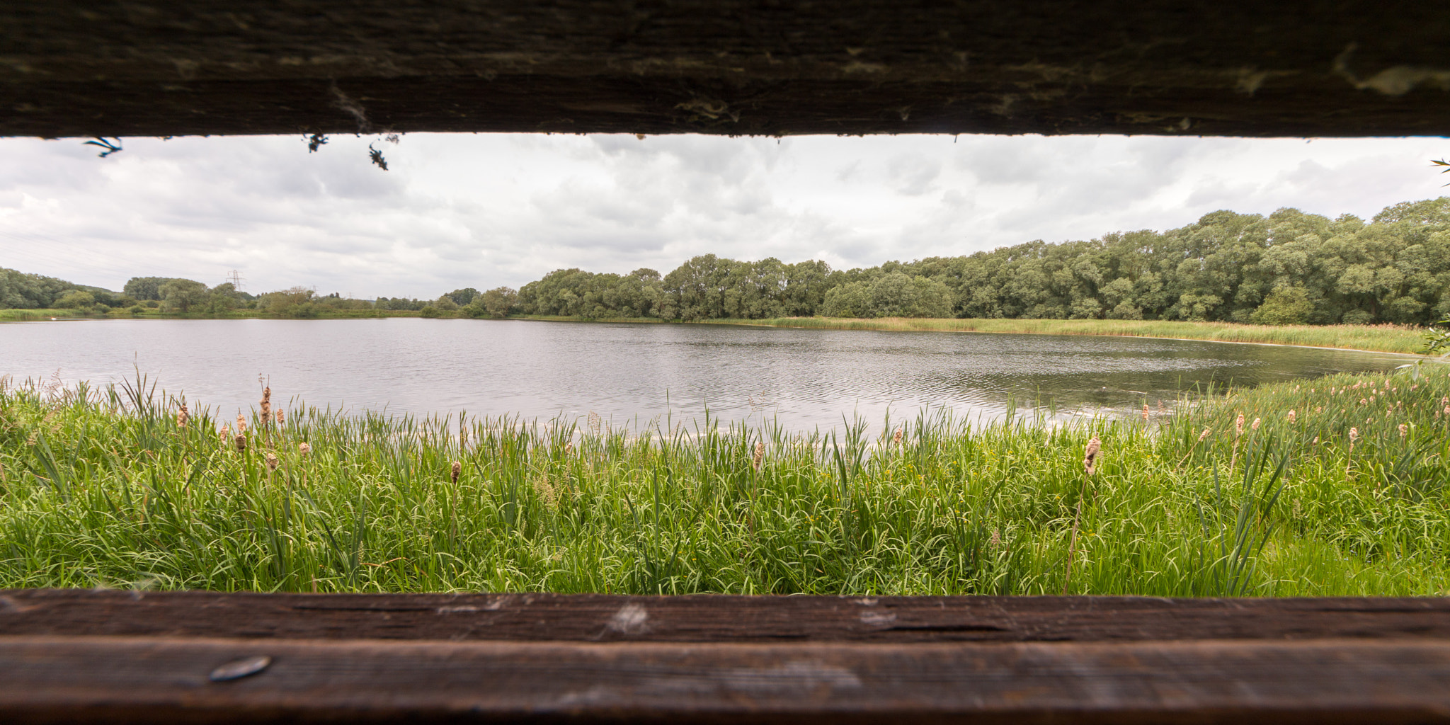 Sigma 8-16mm F4.5-5.6 DC HSM sample photo. Heronry hide photography