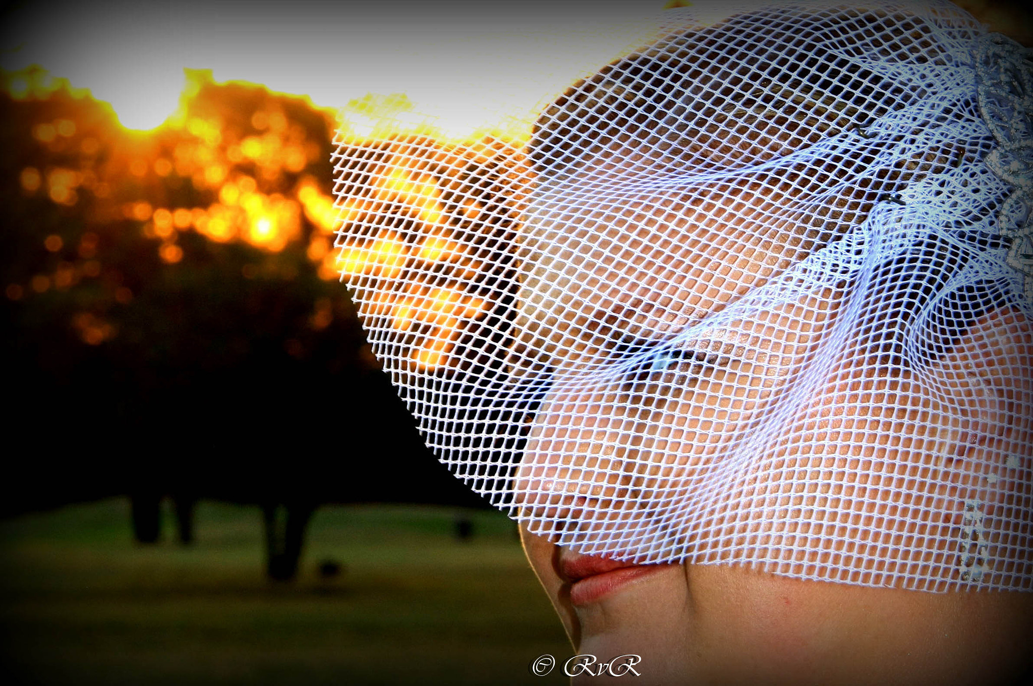 Canon EOS 40D sample photo. At sunset photography