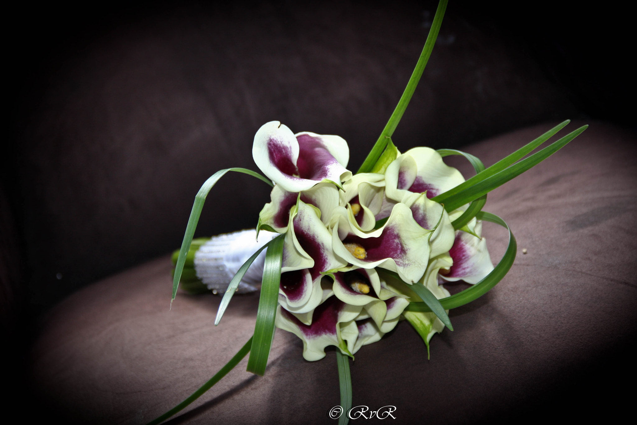 Canon EOS 40D sample photo. Bride's pride. photography