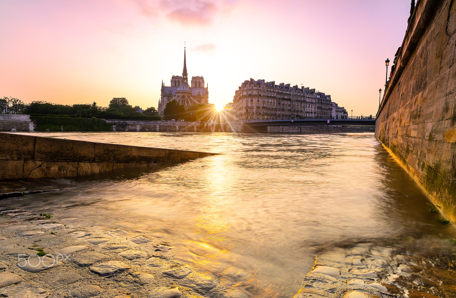 Canon EOS 5DS + Sigma 20mm F1.4 DG HSM Art sample photo. Sunset at notre dame de paris, france photography