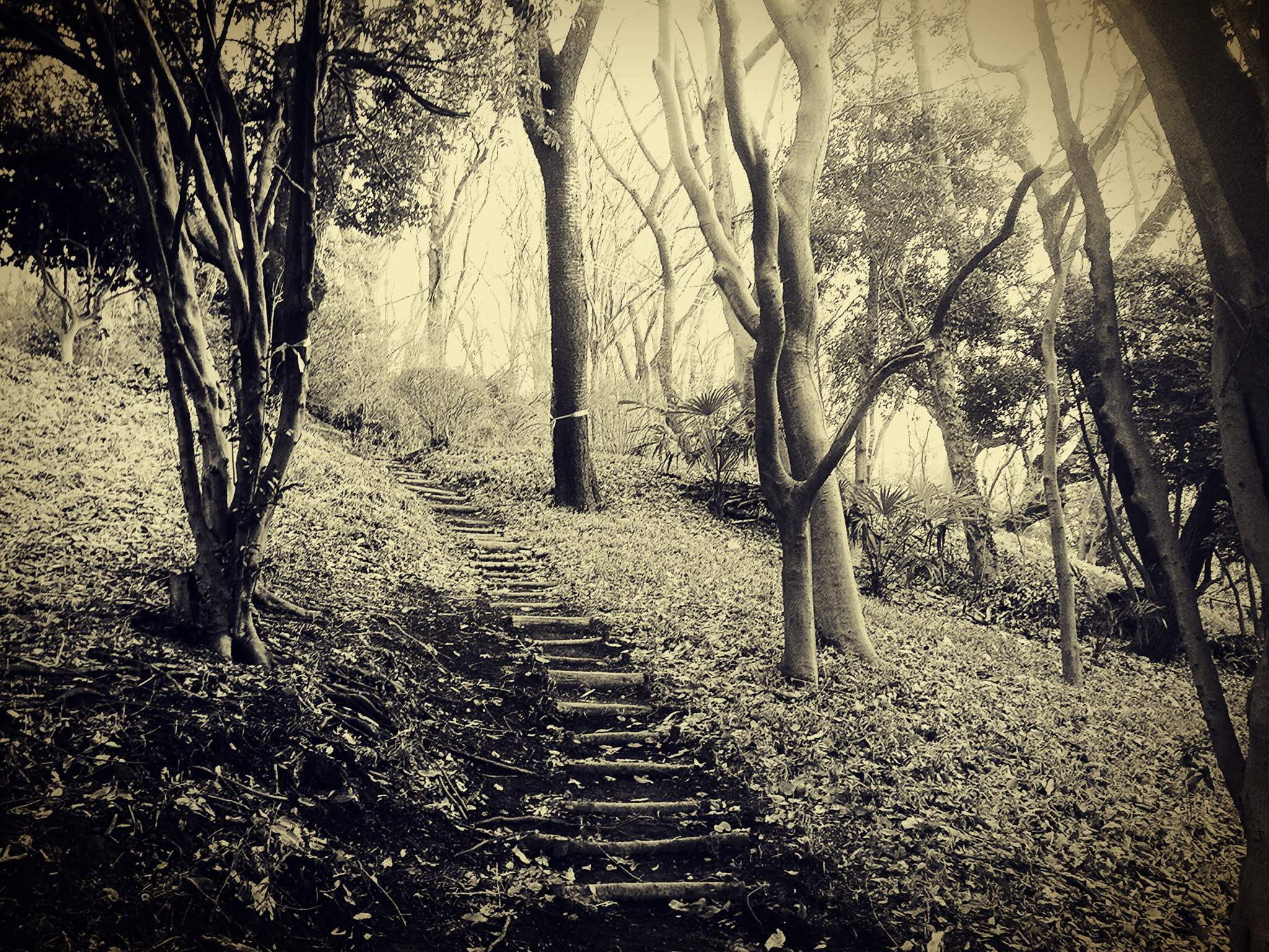 Blux Touch Blux Pro V1.1.1 sample photo. Wave the old world goodbye photography