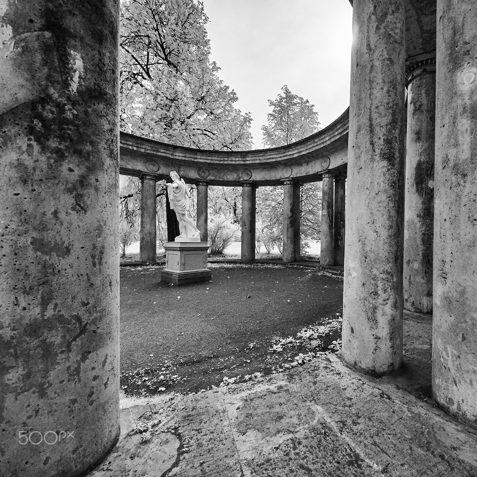 Canon EF 11-24mm F4L USM sample photo. 1y2w0392-2.jpg photography