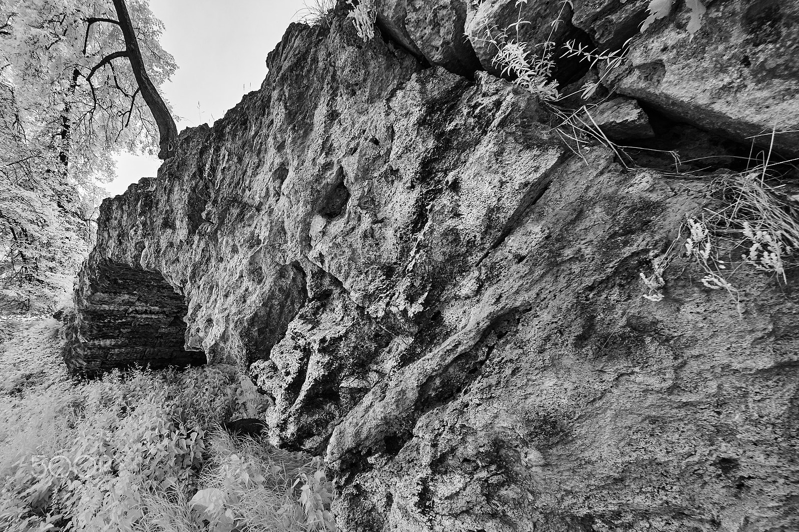 Canon EF 11-24mm F4L USM sample photo. 1y2w0465-2.jpg photography