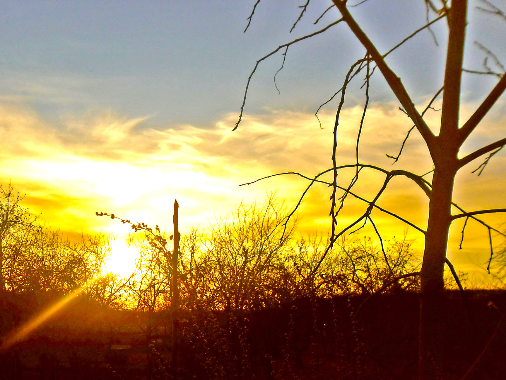 Samsung ES80/ ES81 sample photo. 999.jpg photography