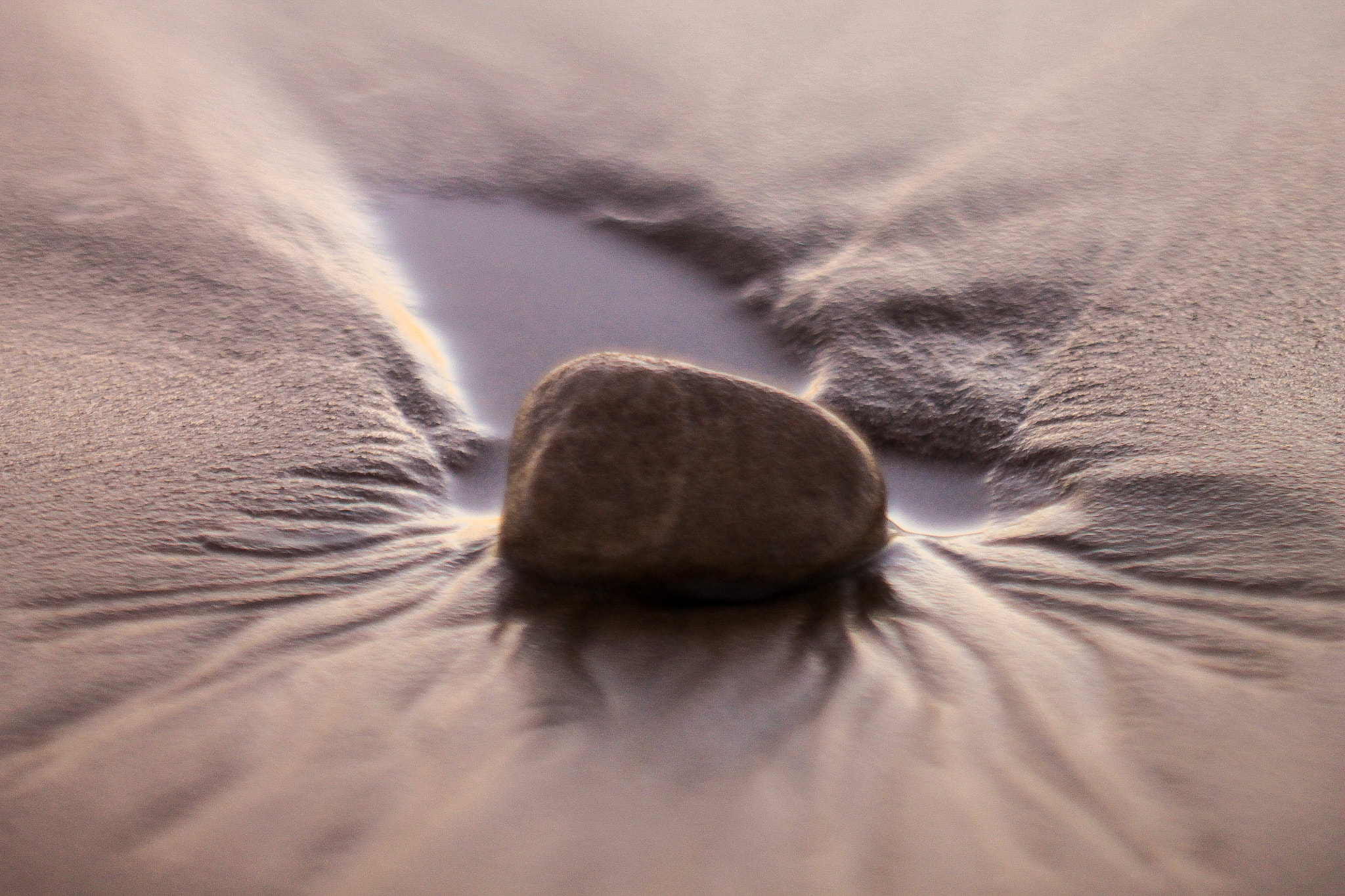 Canon EF 100mm F2.8 Macro USM sample photo. Scars photography