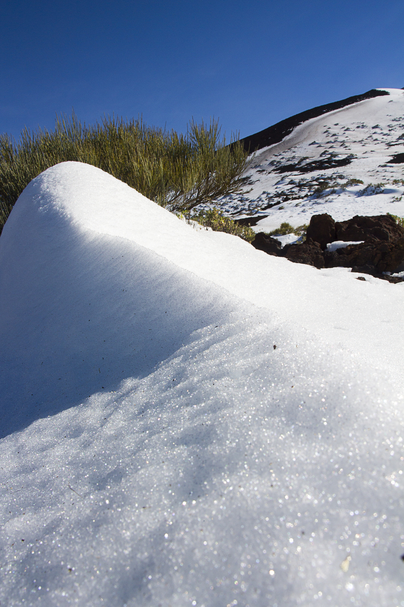 Canon EOS 1100D (EOS Rebel T3 / EOS Kiss X50) + Tamron AF 19-35mm f/3.5-4.5 sample photo. Teide national park. tenerife, canary islands. photography