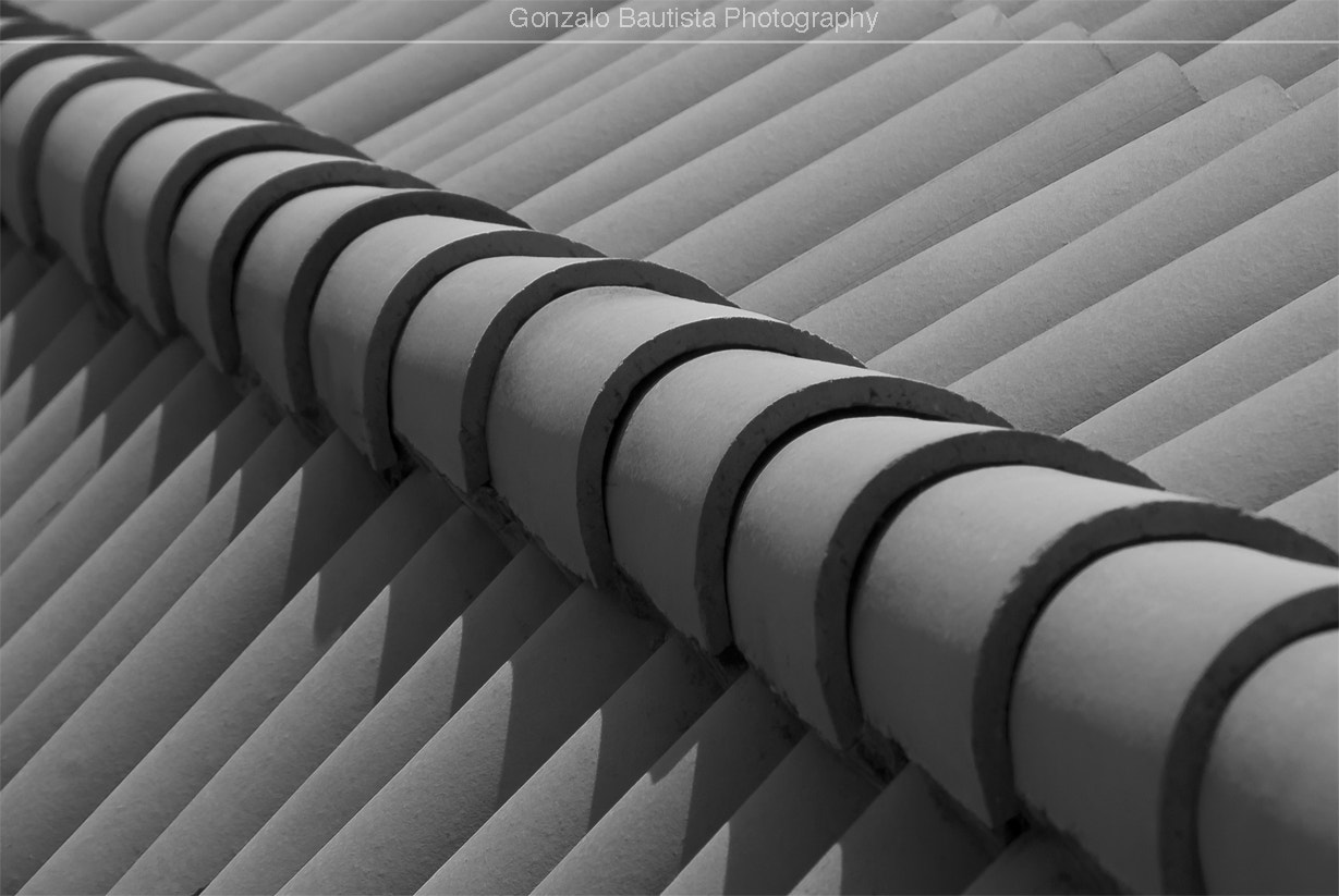 Nikon D40X sample photo. The roof. photography