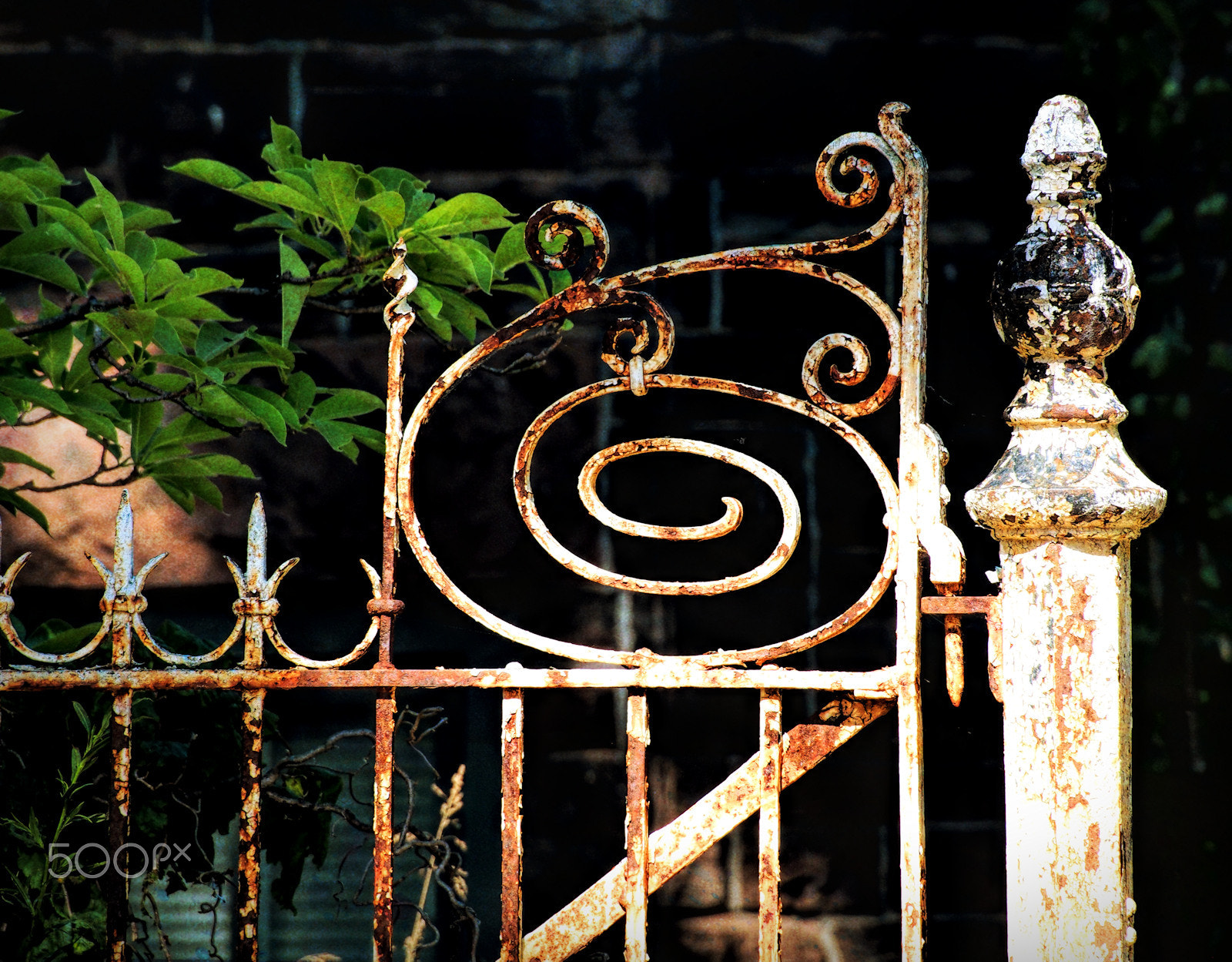 Olympus OM-D E-M5 sample photo. Rusty scroll photography