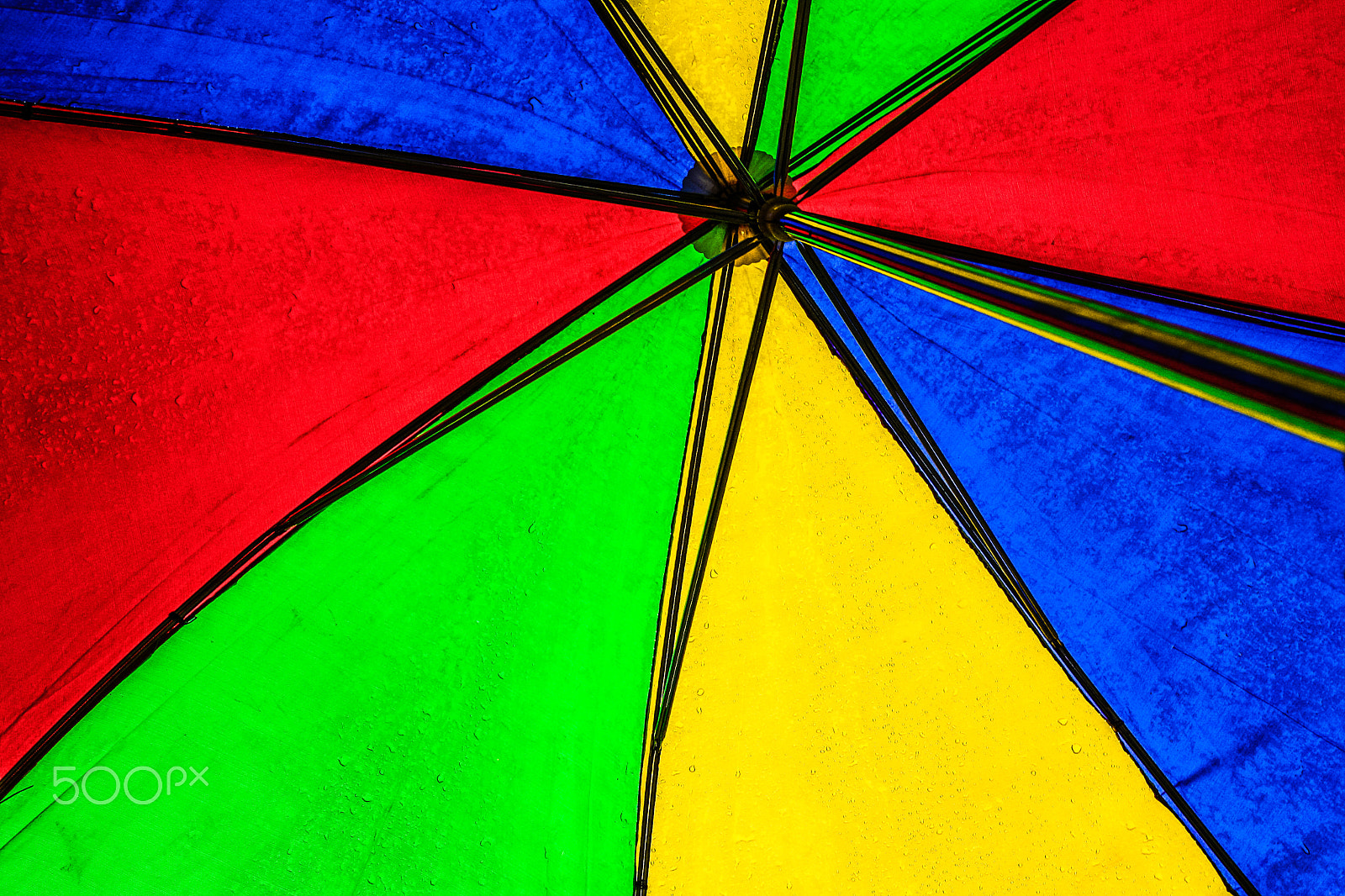 Canon EOS 1000D (EOS Digital Rebel XS / EOS Kiss F) sample photo. Umbrella photography