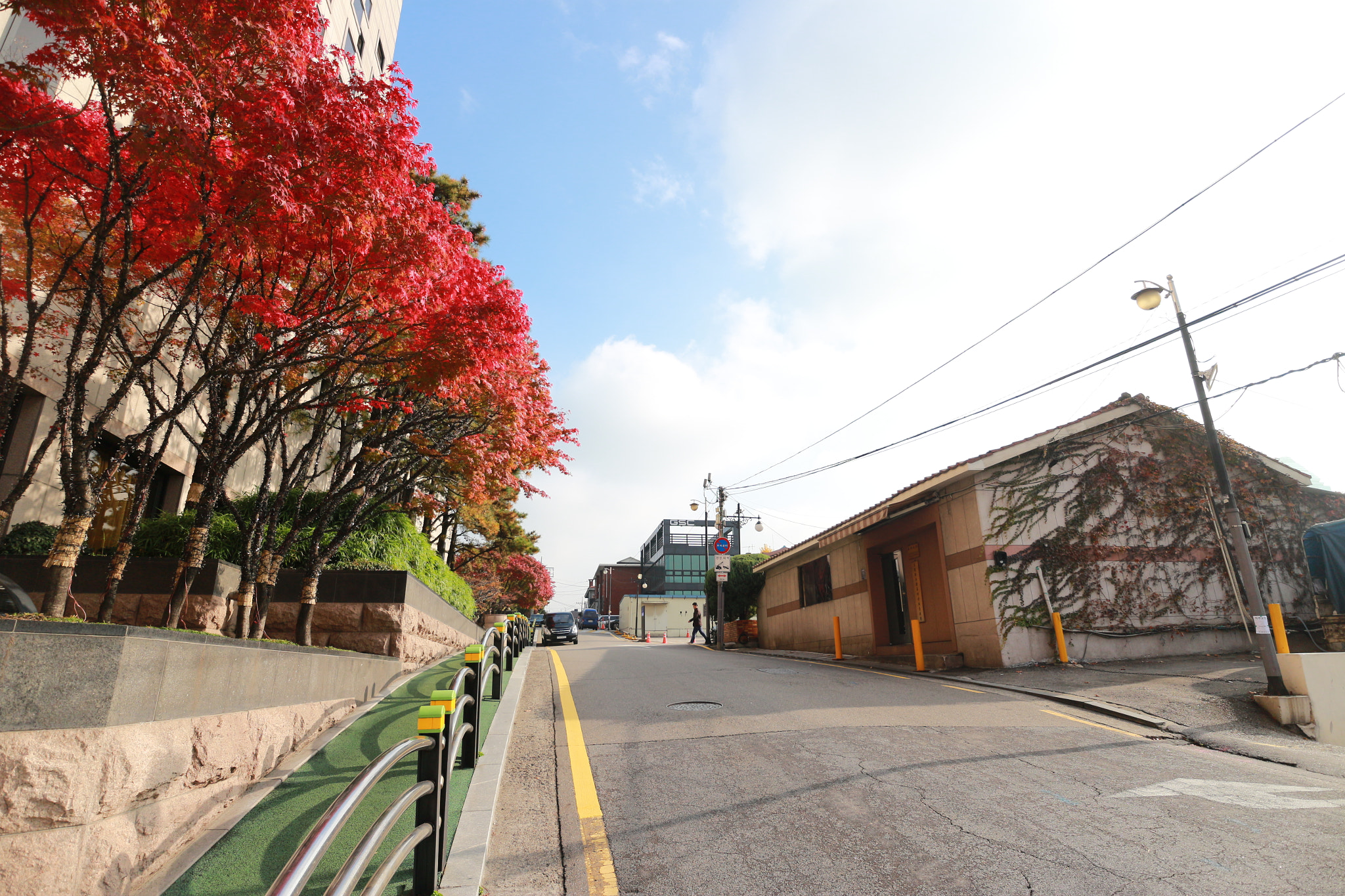 Canon EOS M2 + Canon EF-M 11-22mm F4-5.6 IS STM sample photo. Kora photography