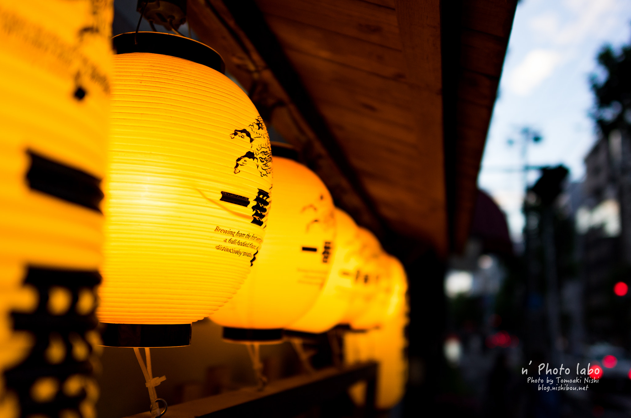 Summicron T 1:2 23 ASPH. sample photo. 提灯 photography