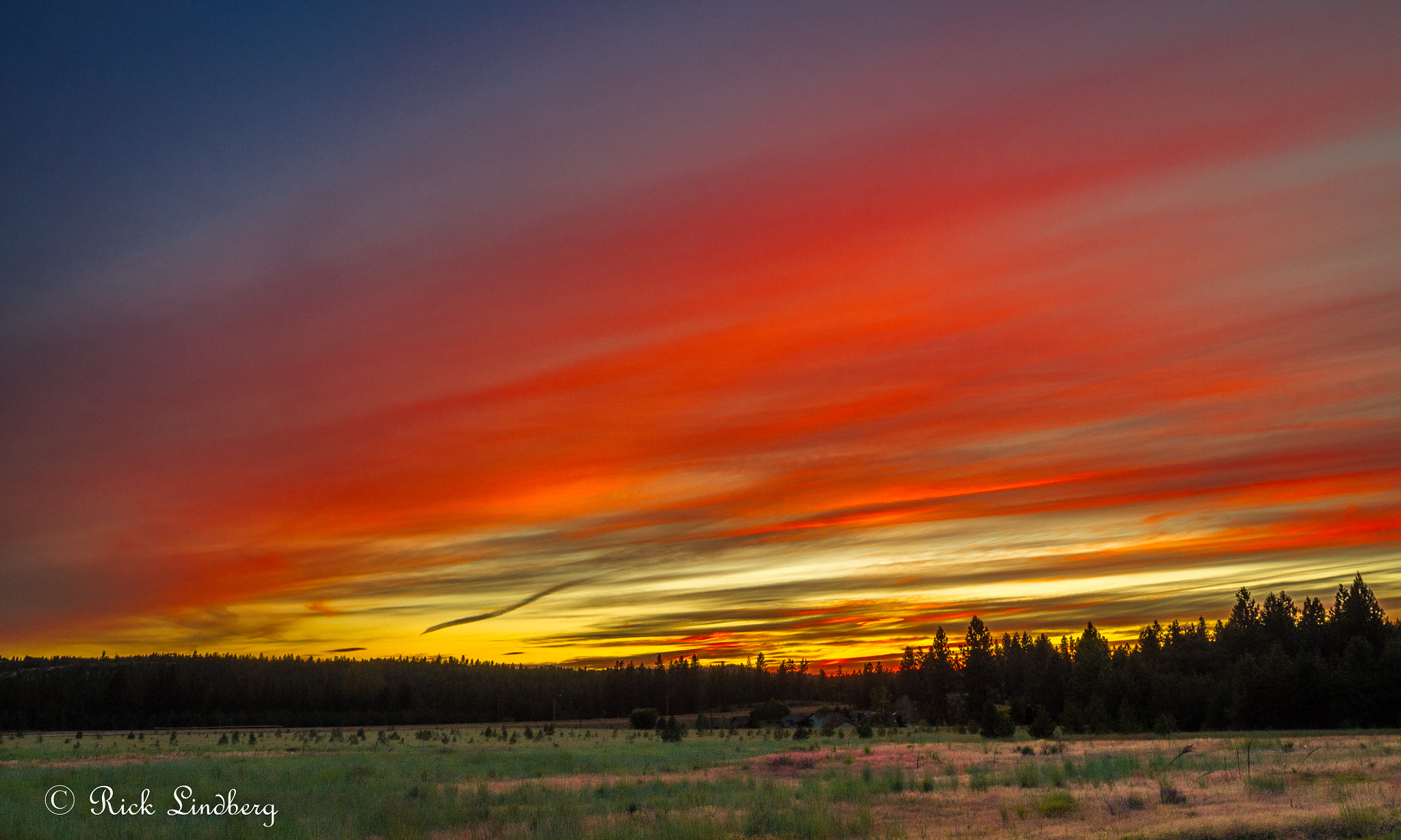 Pentax K-50 + A Series Lens sample photo. Seeing red photography
