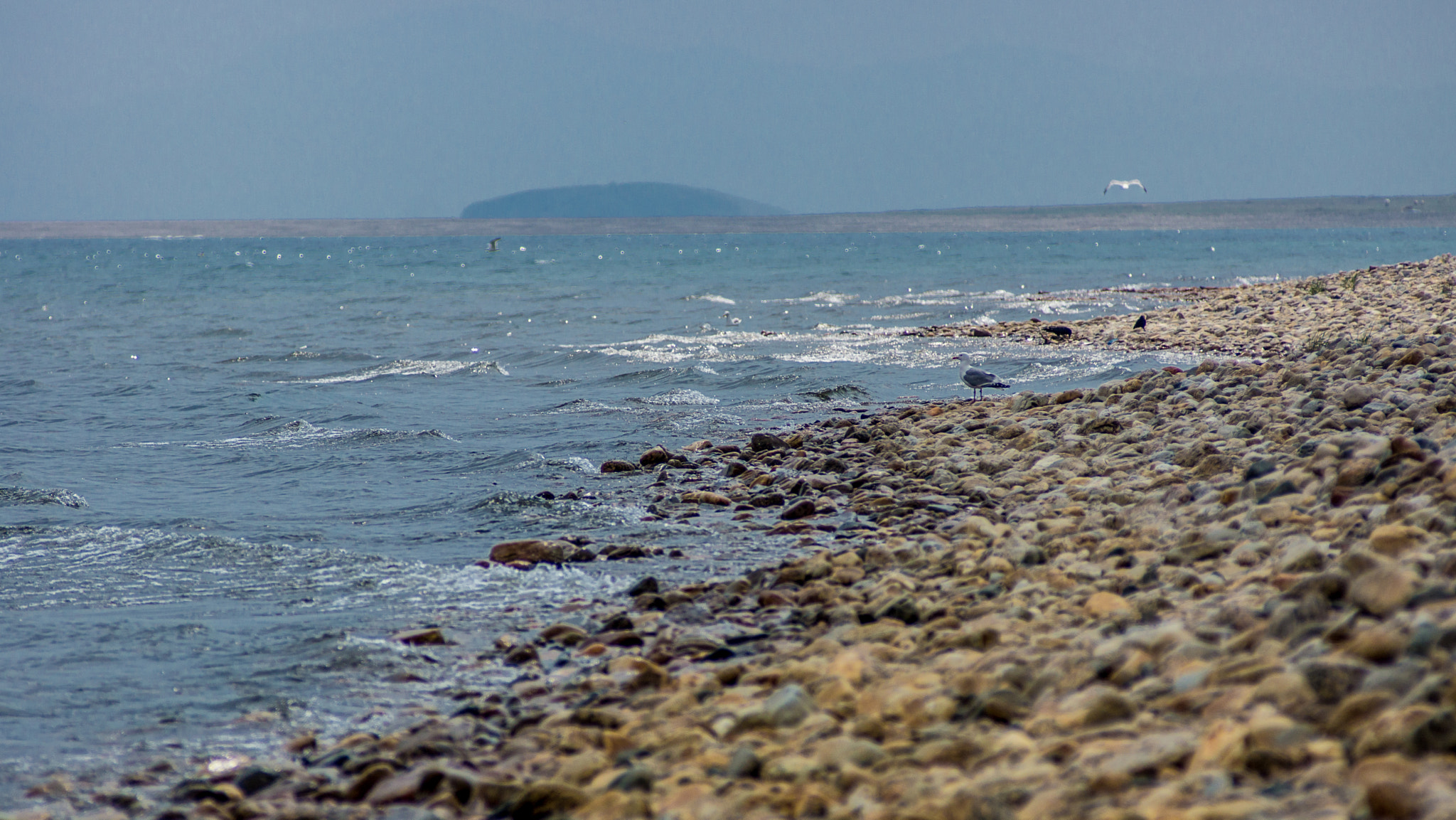 Minolta AF 80-200mm F2.8 HS-APO G sample photo. Shore photography