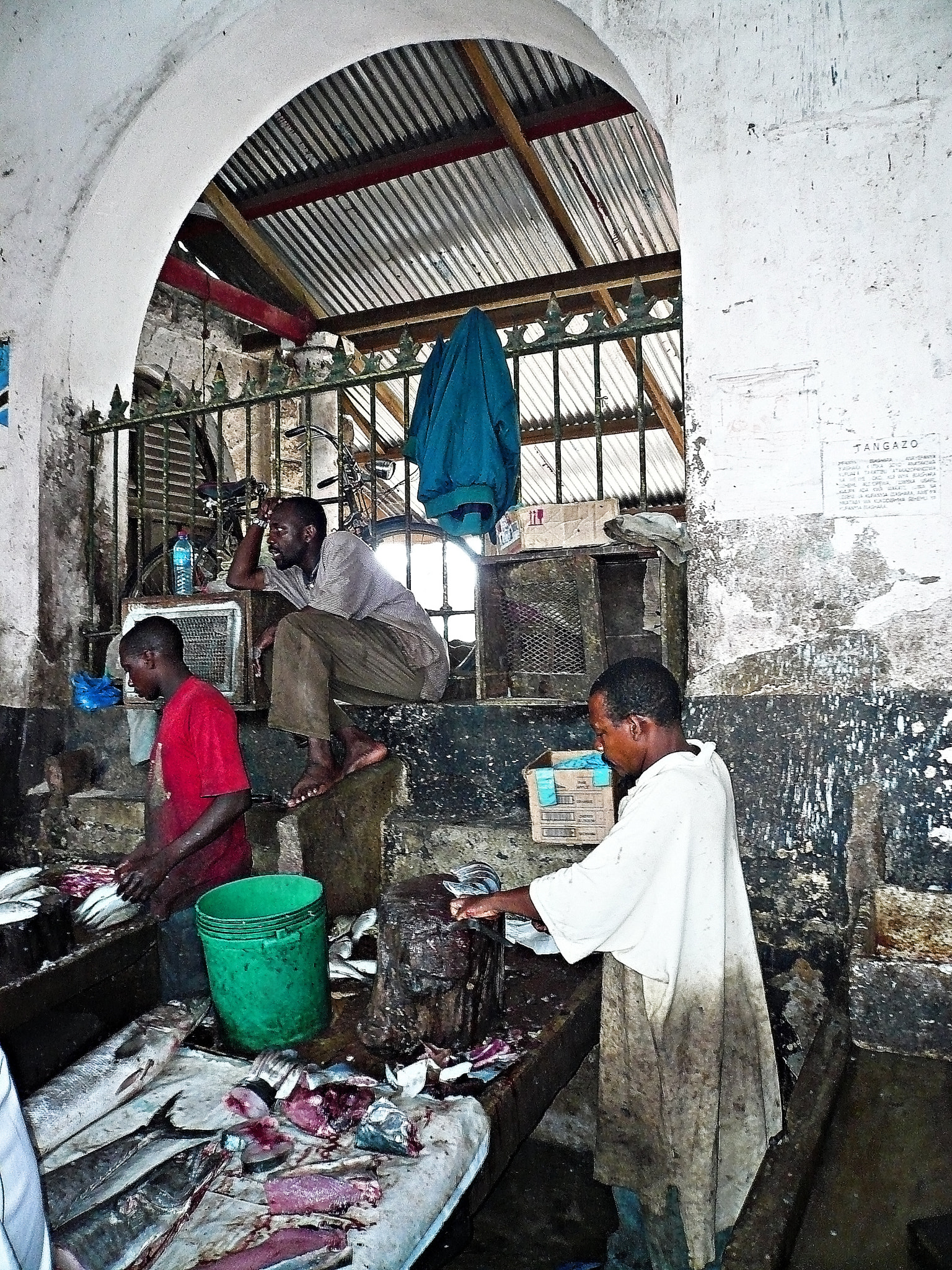 Panasonic DMC-FX07 sample photo. Zanzibar mercato del pesce photography
