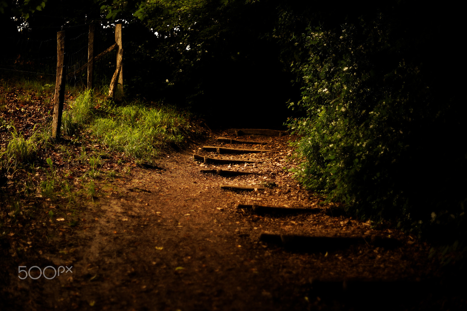 Sony a99 II + Minolta AF 50mm F1.4 [New] sample photo. Parc de l'hermitage, lausanne photography
