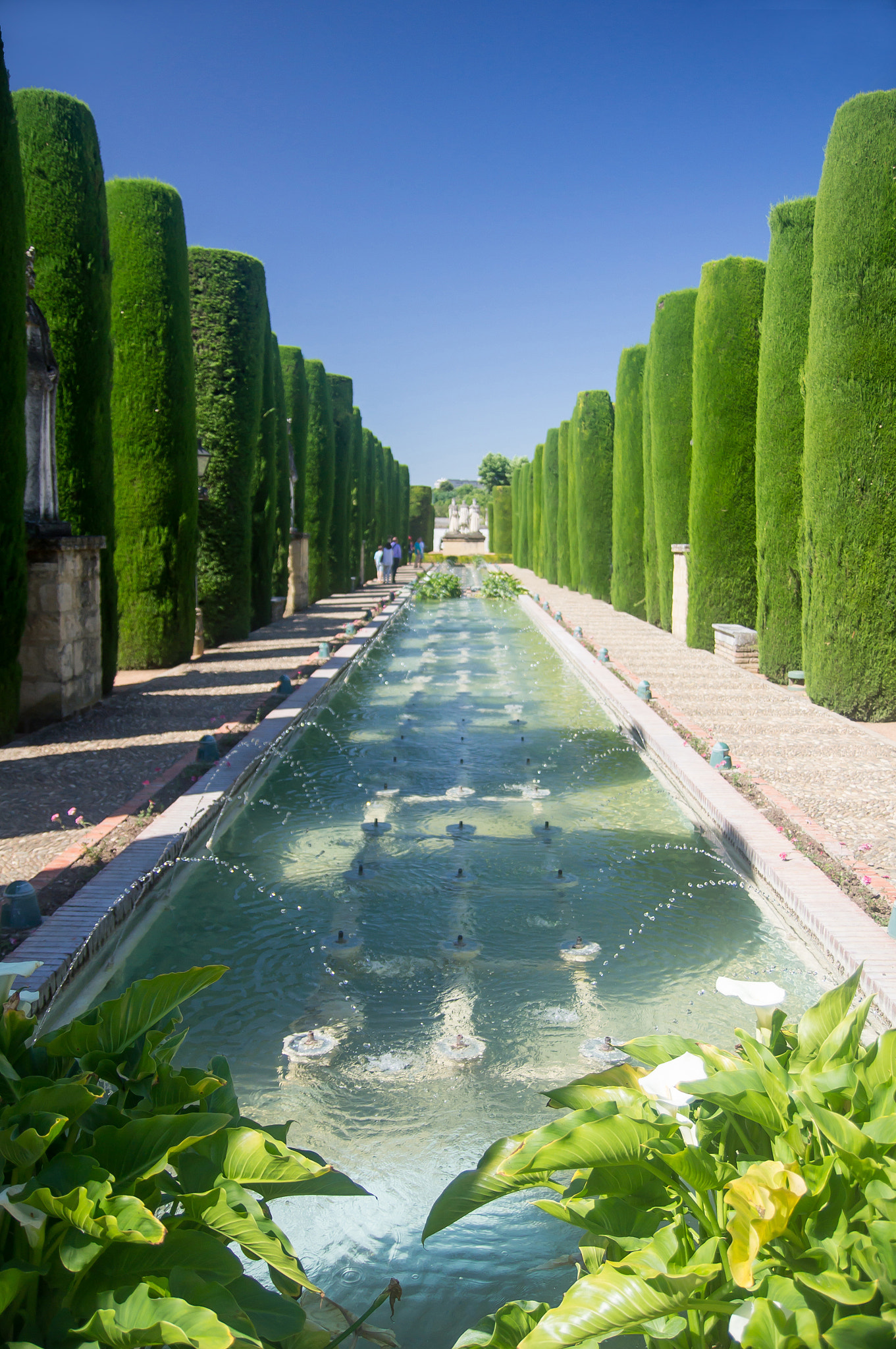 Sony Alpha DSLR-A580 sample photo. Alcázar de los reyes cristianos gardens photography