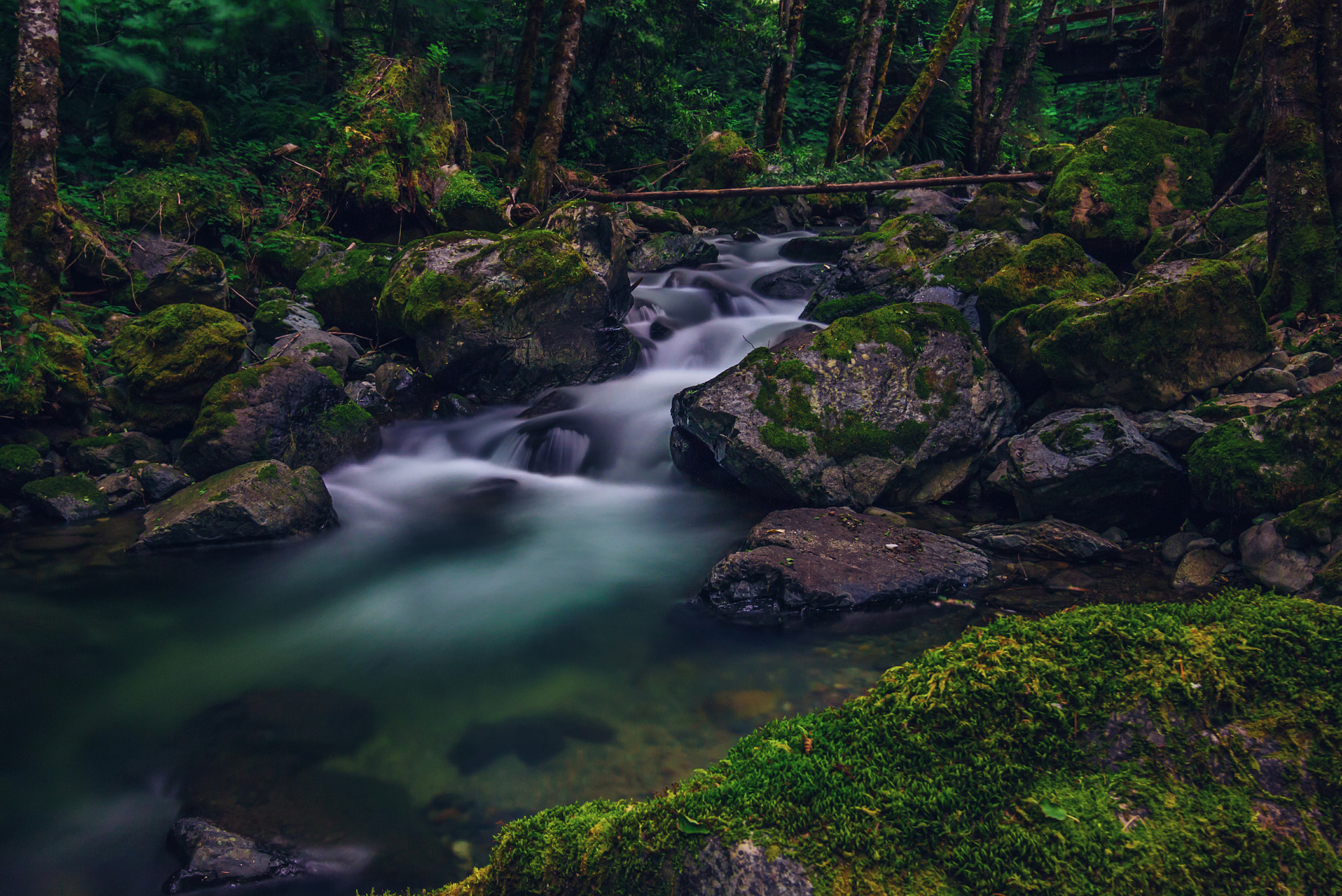 Tokina AT-X Pro 11-16mm F2.8 DX II sample photo. Sucker creek photography