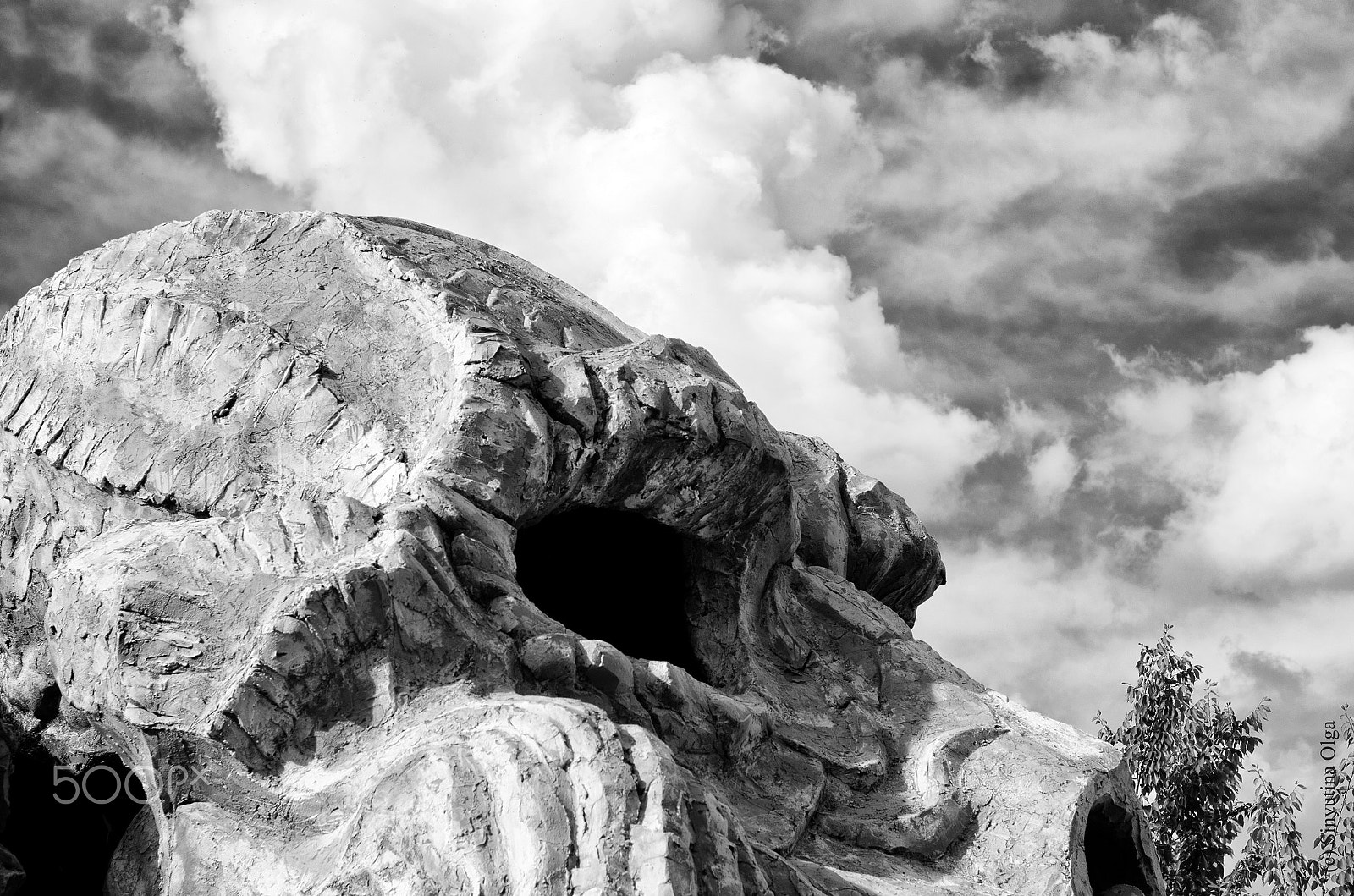 Pentax K-5 IIs + A Series Lens sample photo. Skull photography