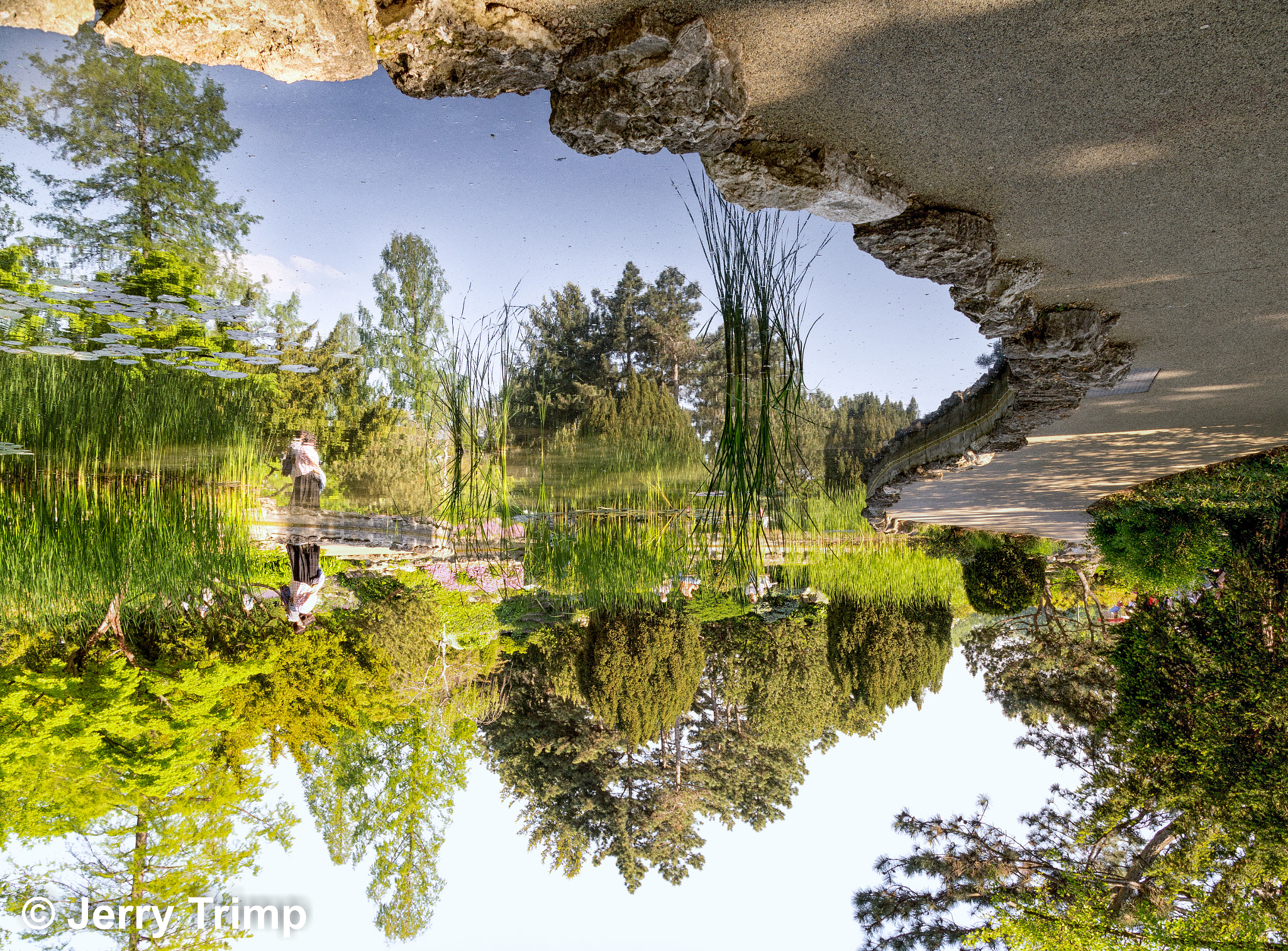 Sony SLT-A58 + Sigma 18-200mm F3.5-6.3 DC sample photo. Reflection upside down photography