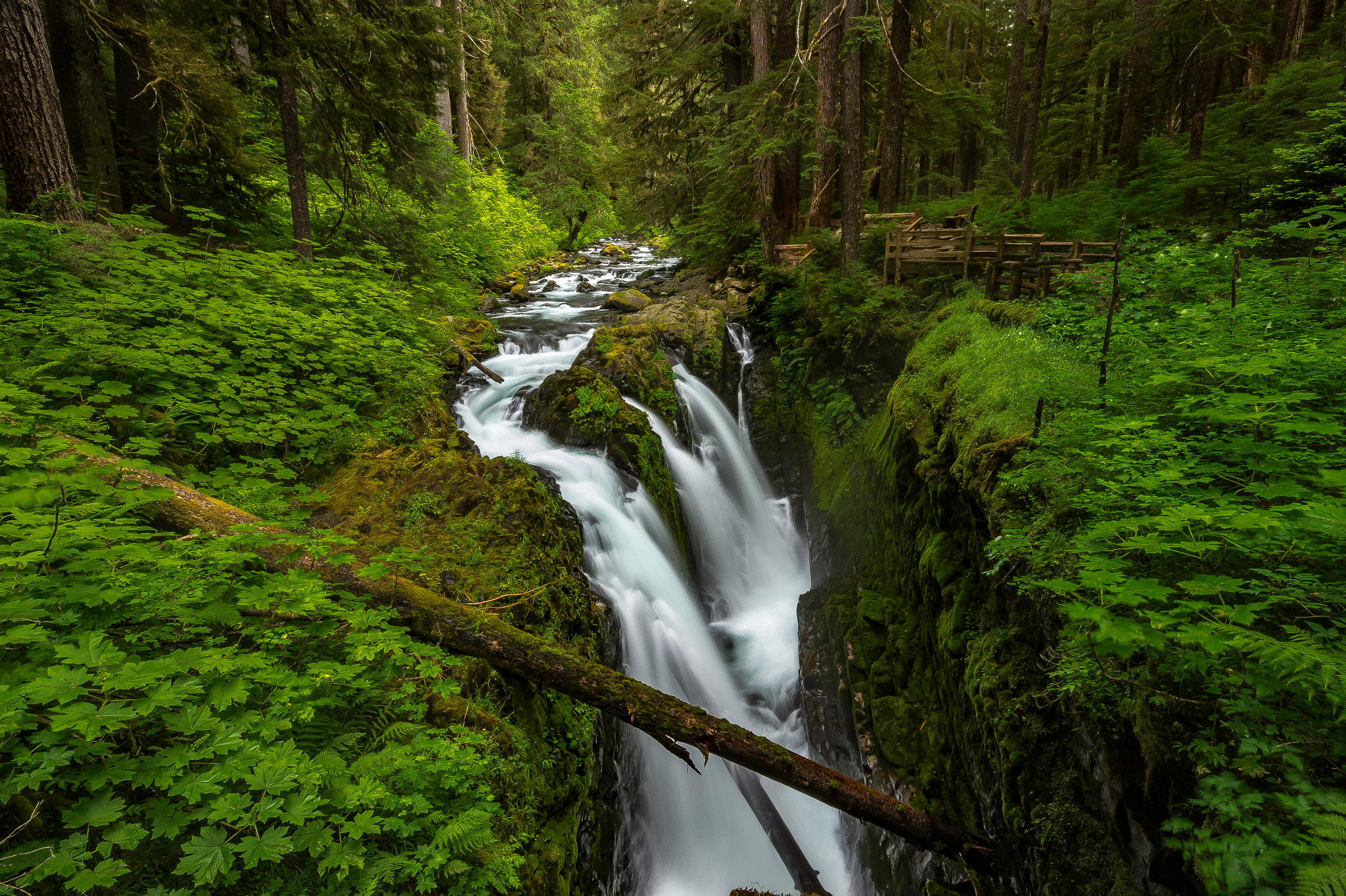 Sigma 10-20mm F4-5.6 EX DC HSM sample photo. Sol duc falls, washington photography